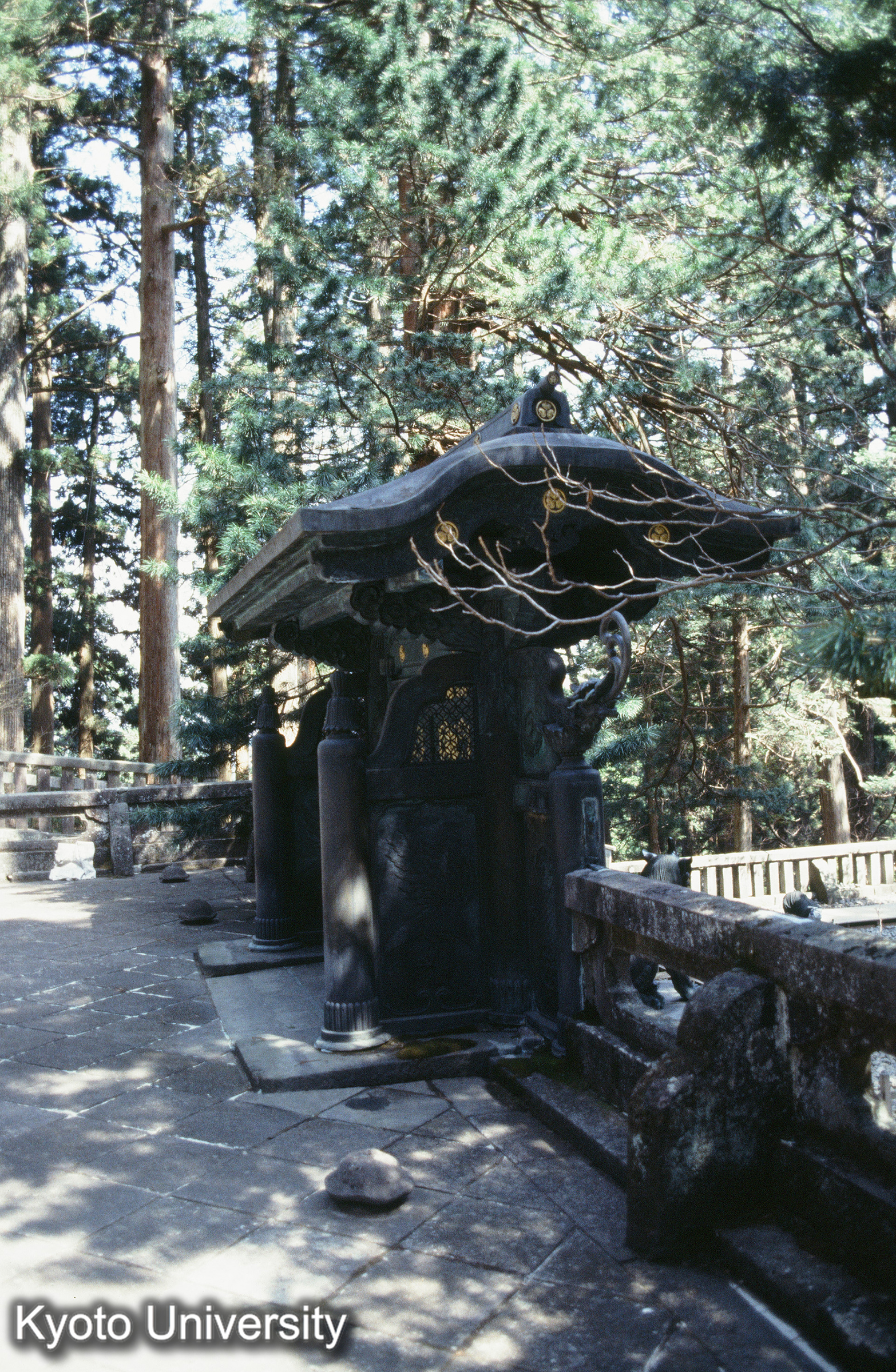 ［スライド］ (1)