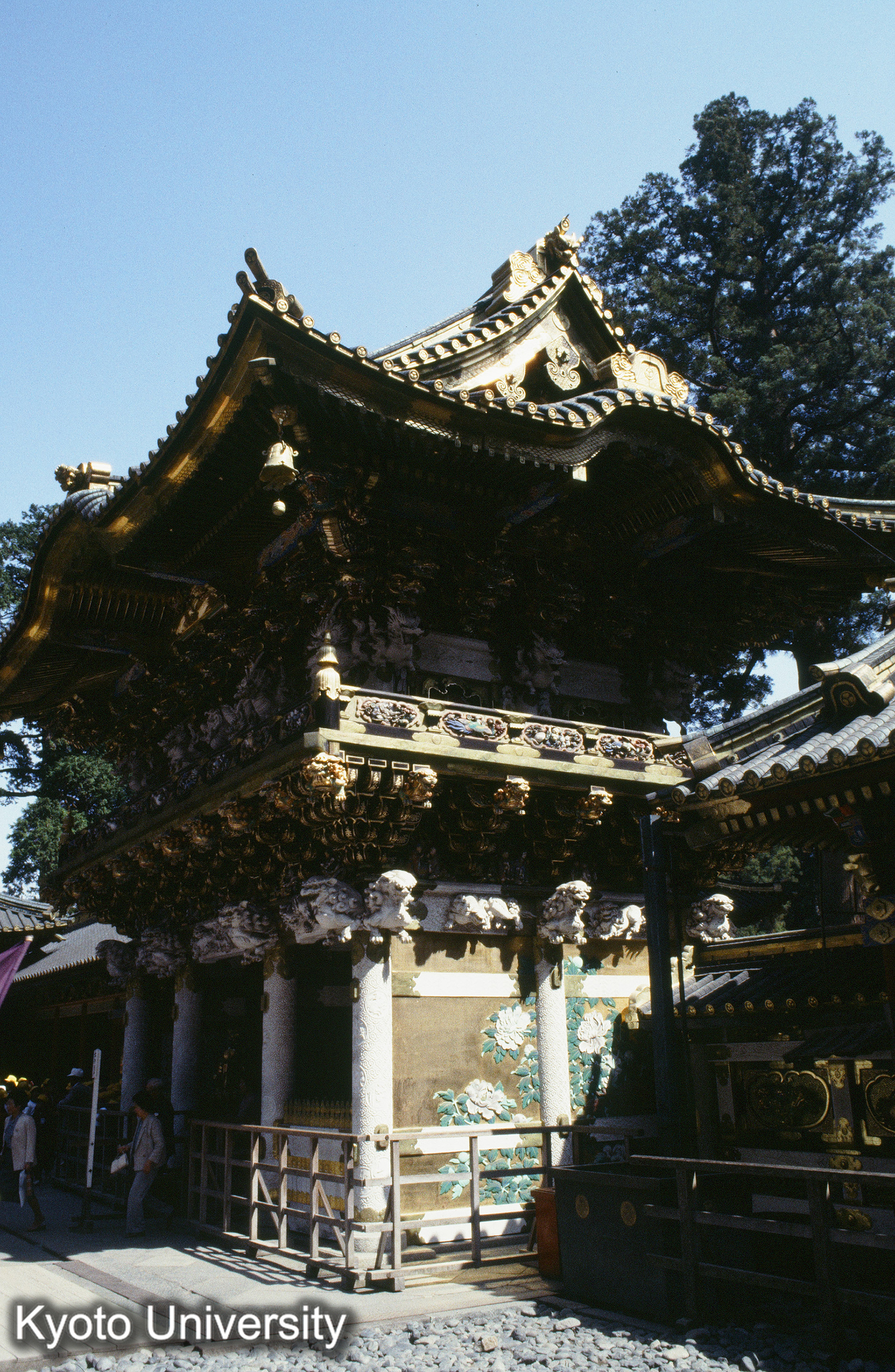 ［スライド］ (1)