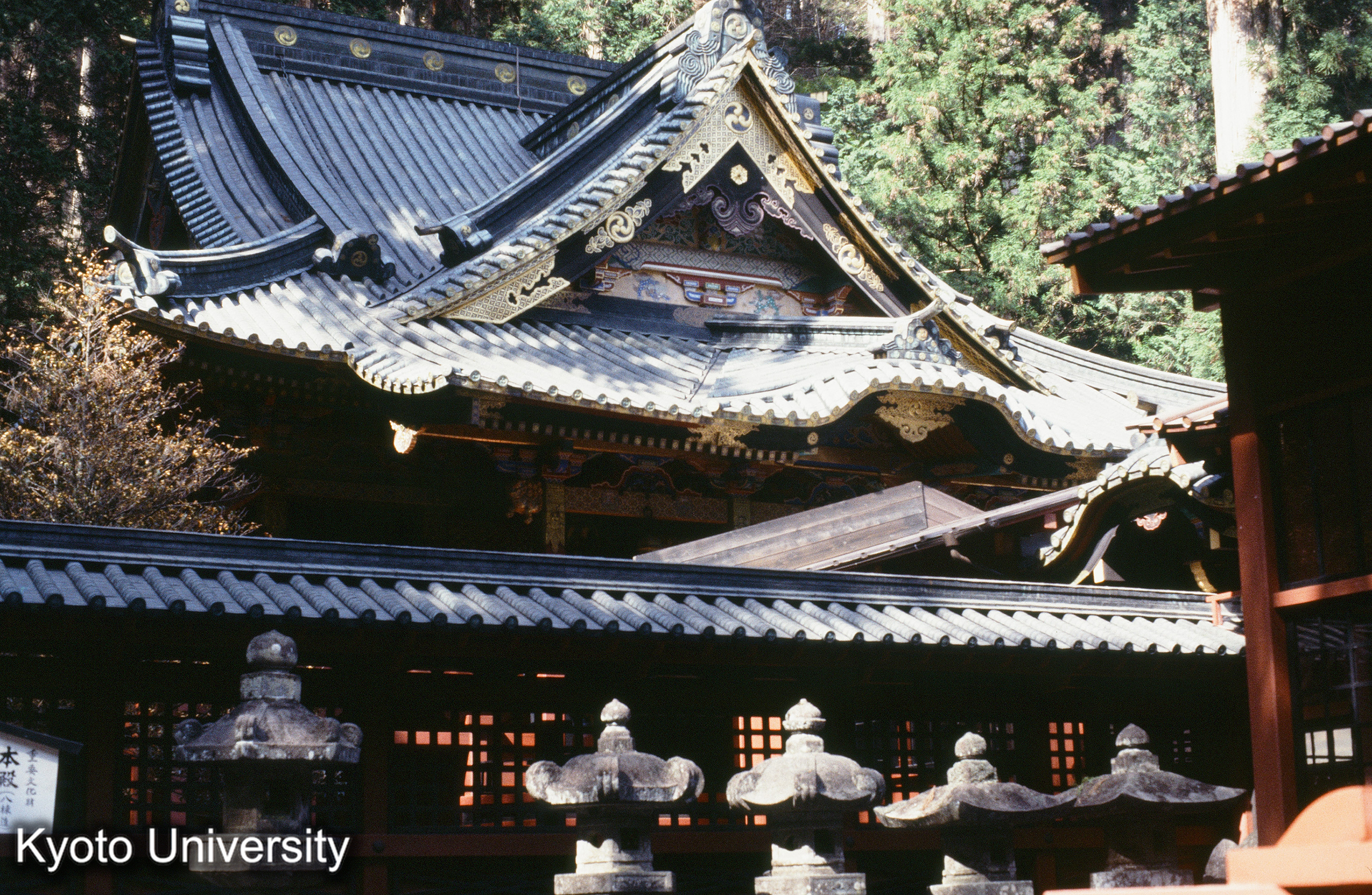 ［スライド］ (1)