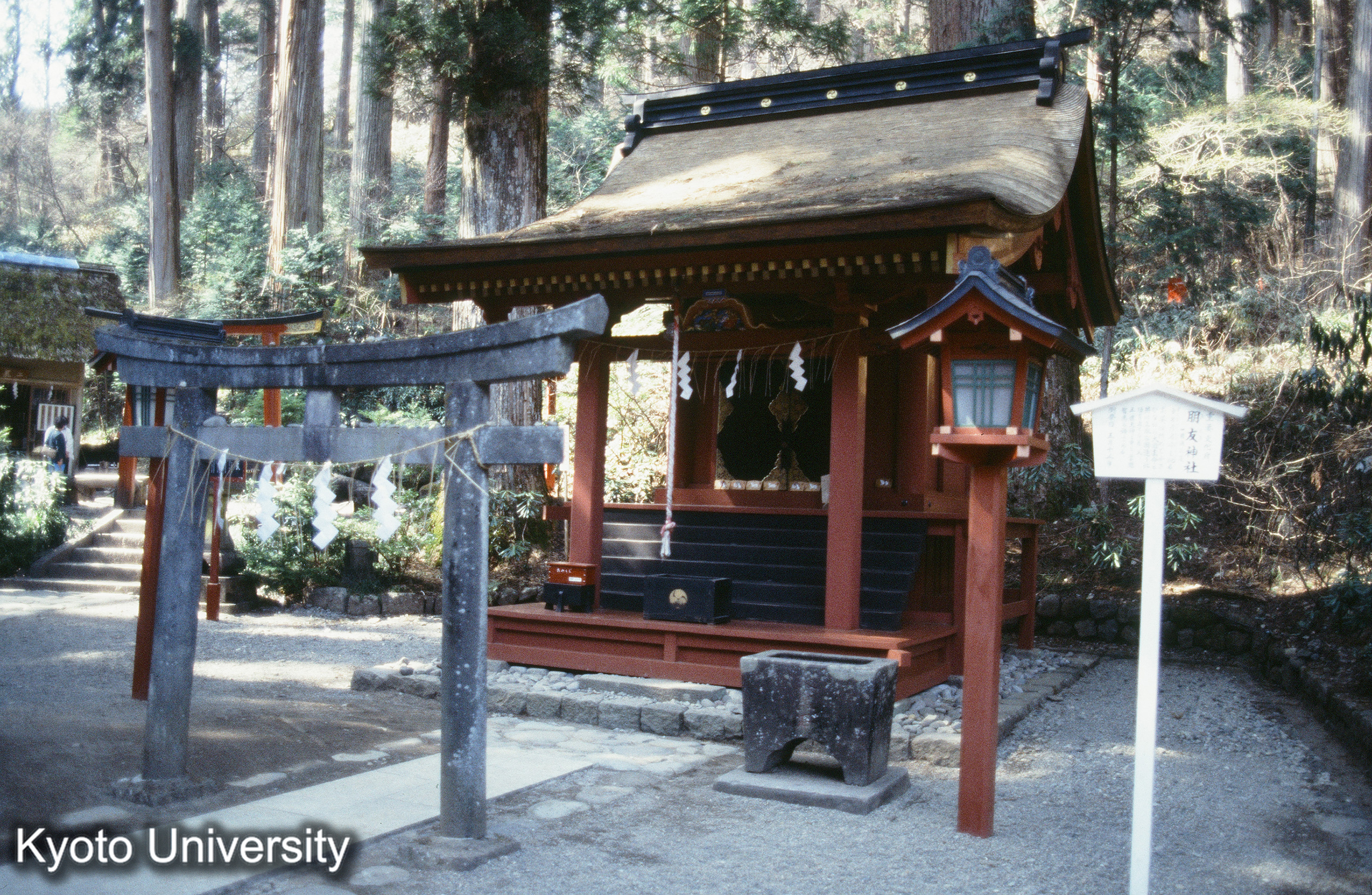 ［スライド］ (1)