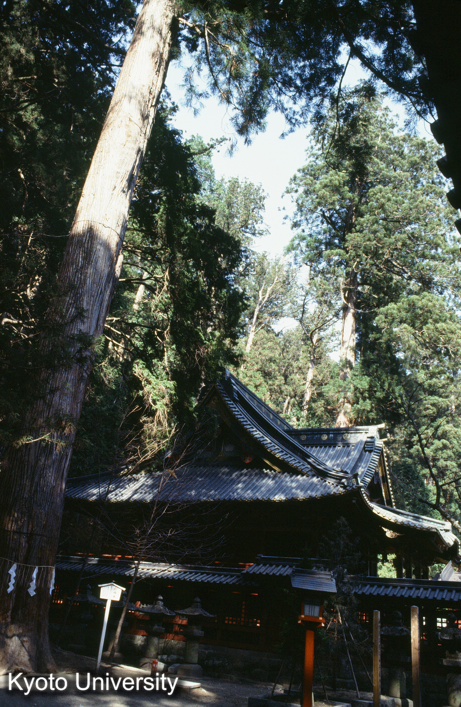 ［スライド］ (1)