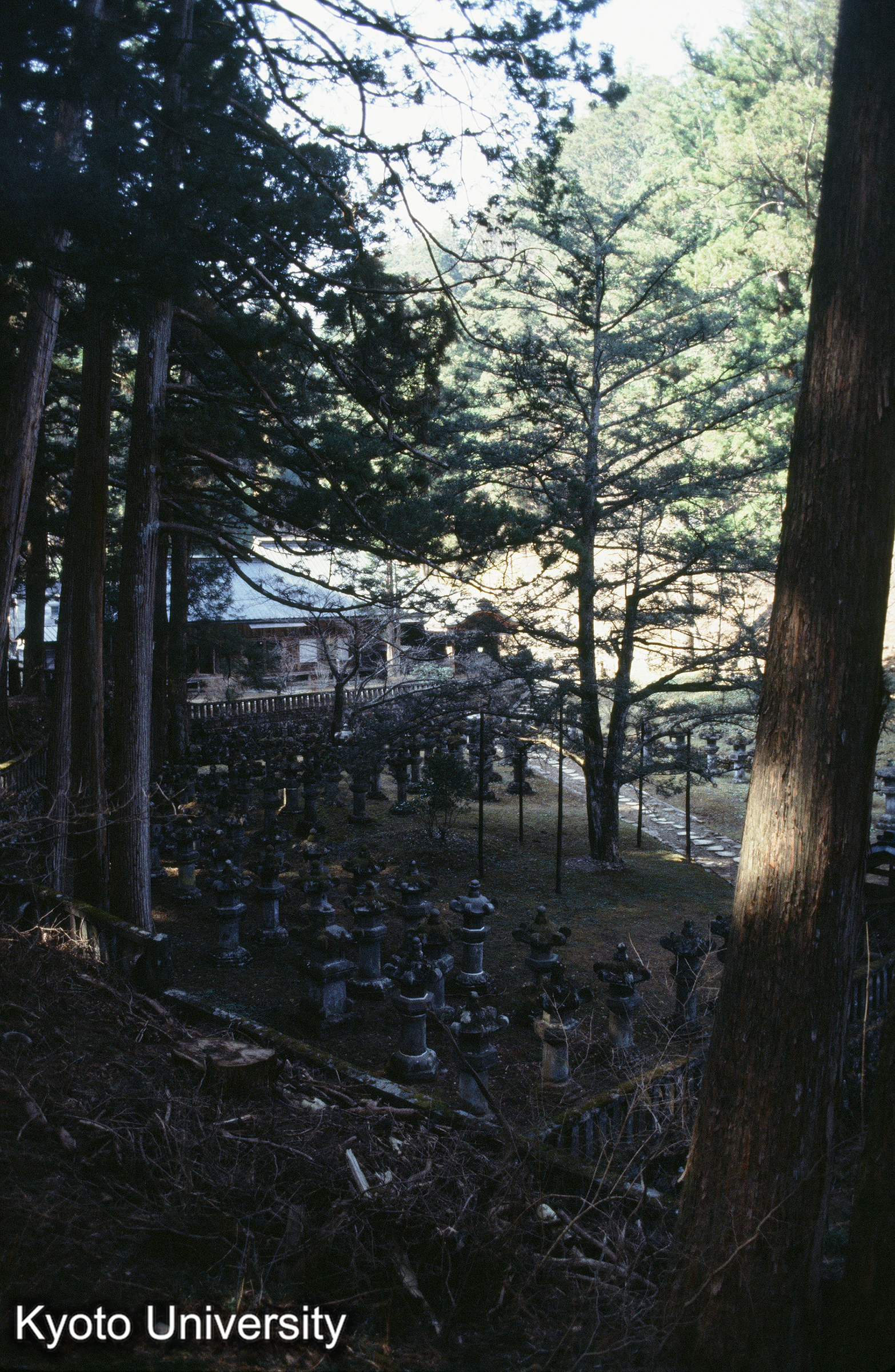 ［スライド］ (1)