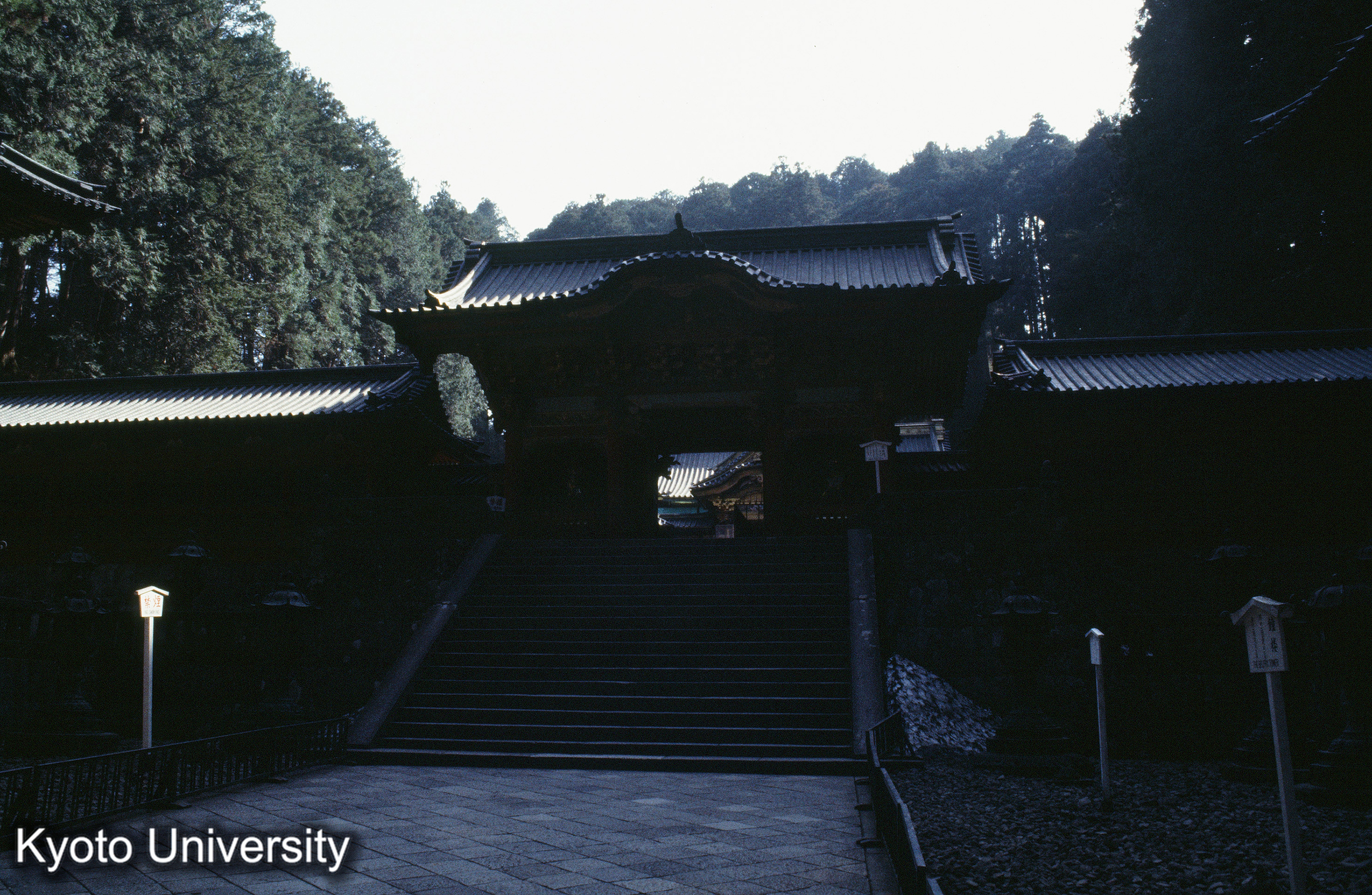 ［スライド］ (1)