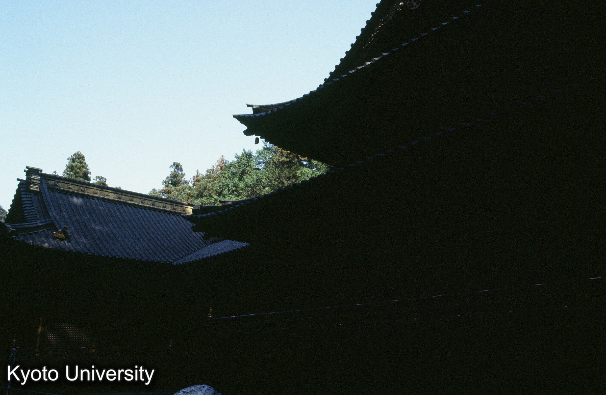 ［スライド］ (1)