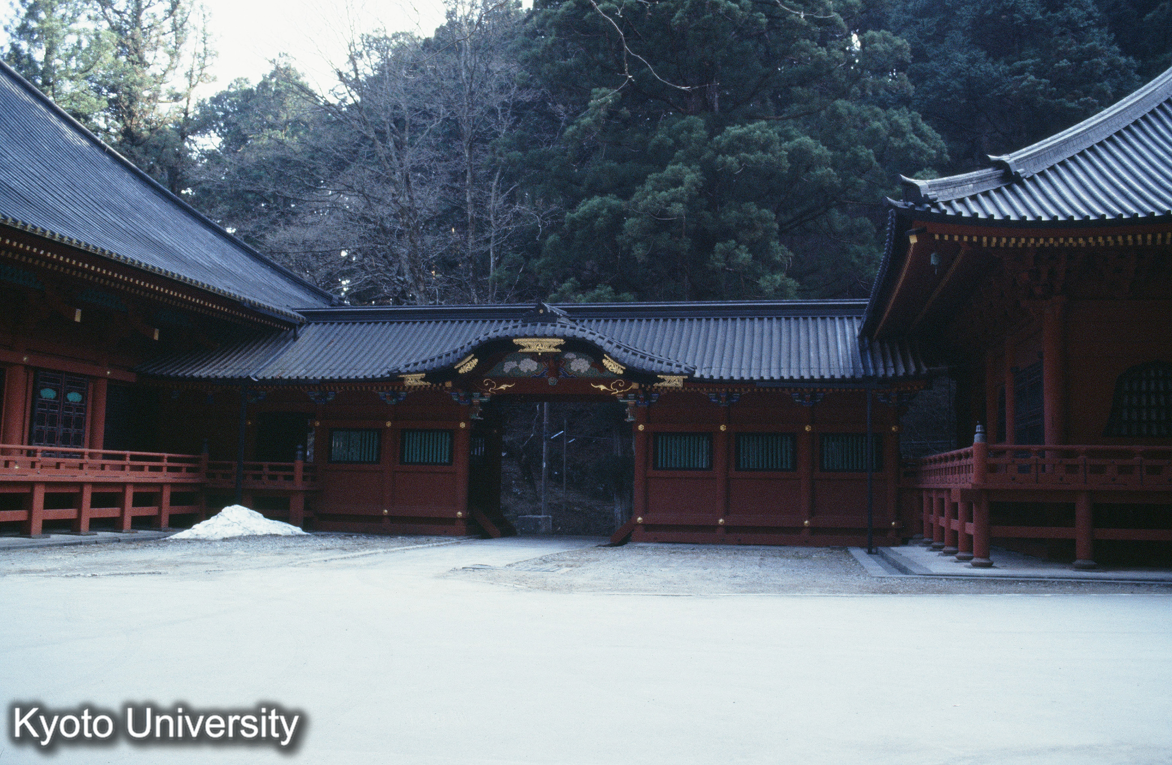 ［スライド］ (1)