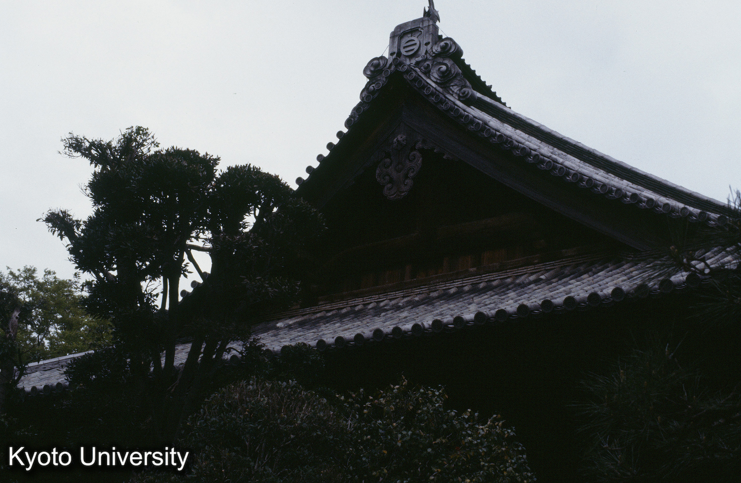 ［スライド］ (1)