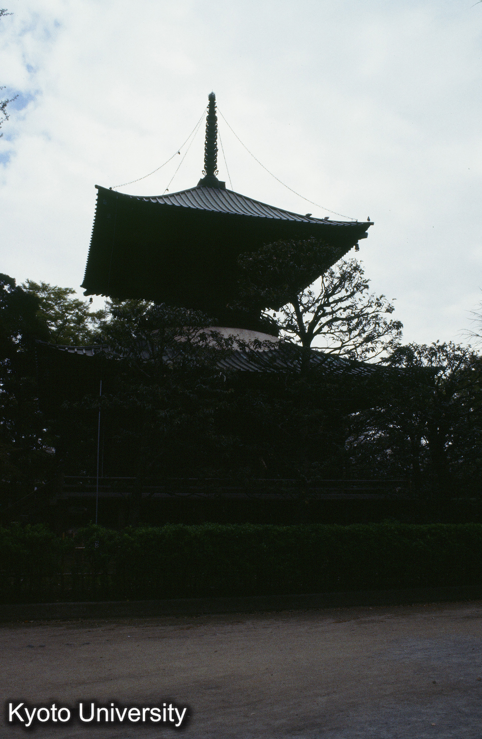 ［スライド］ (1)