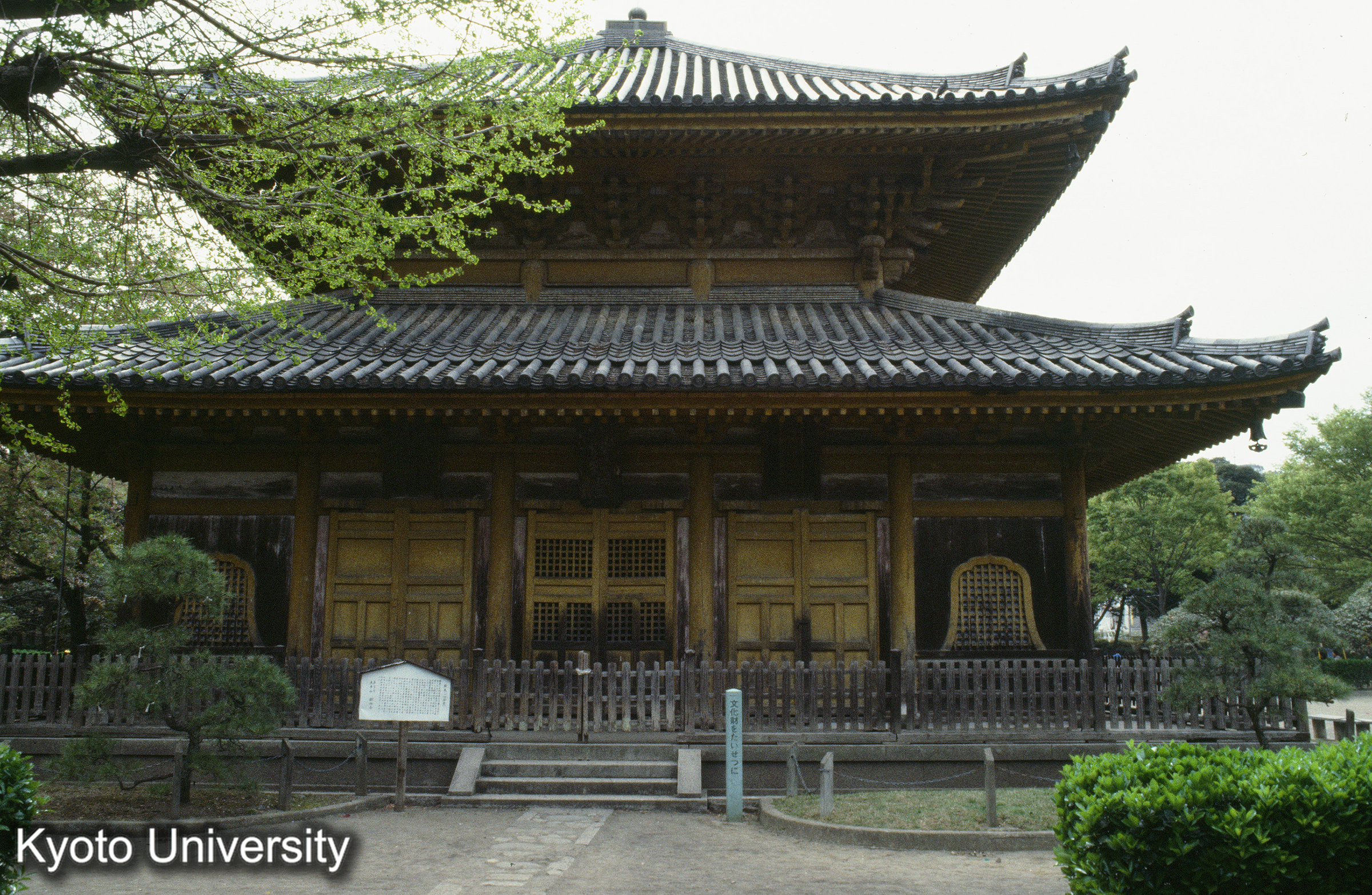 ［スライド］ (1)