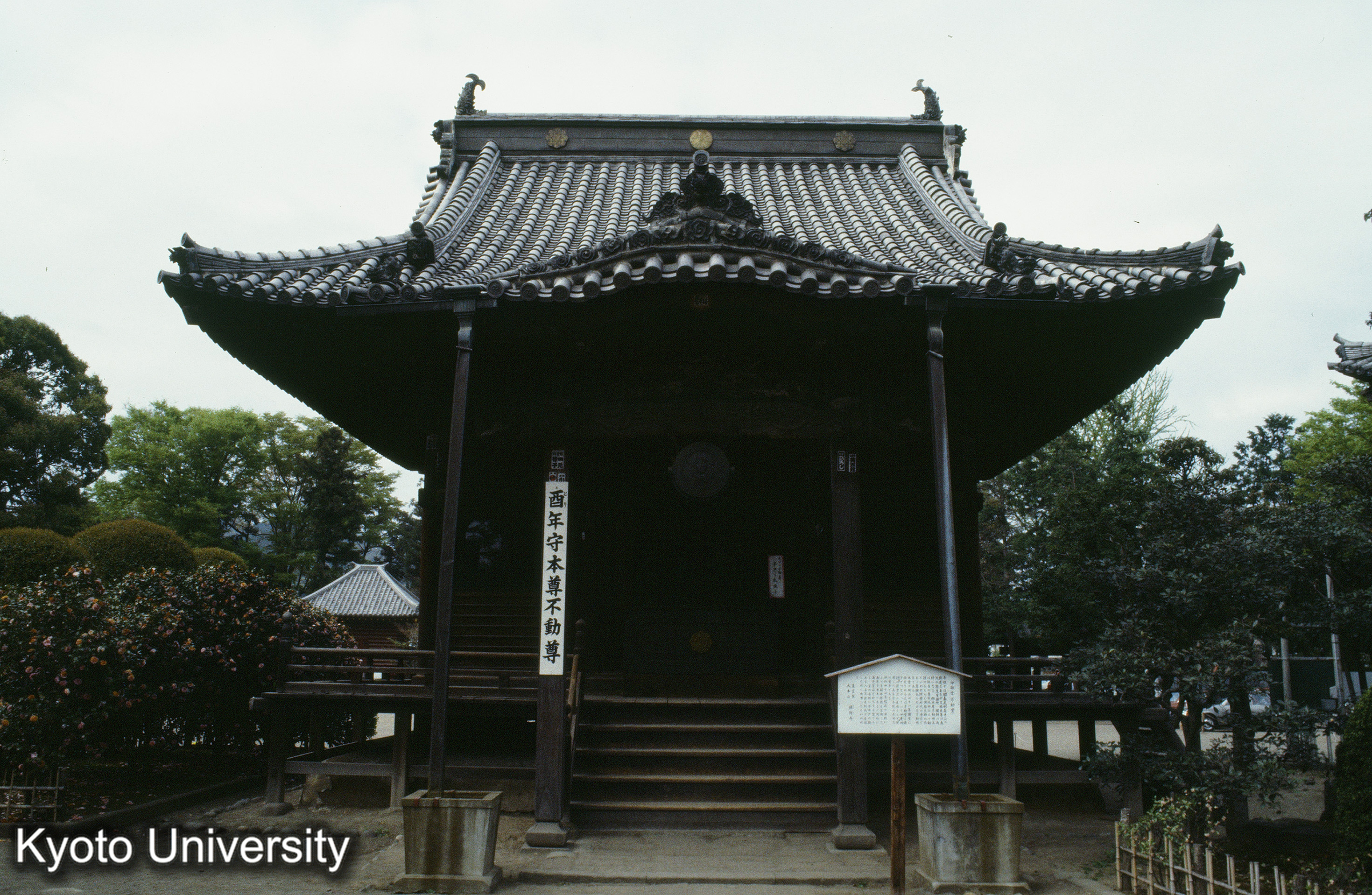 ［スライド］ (1)