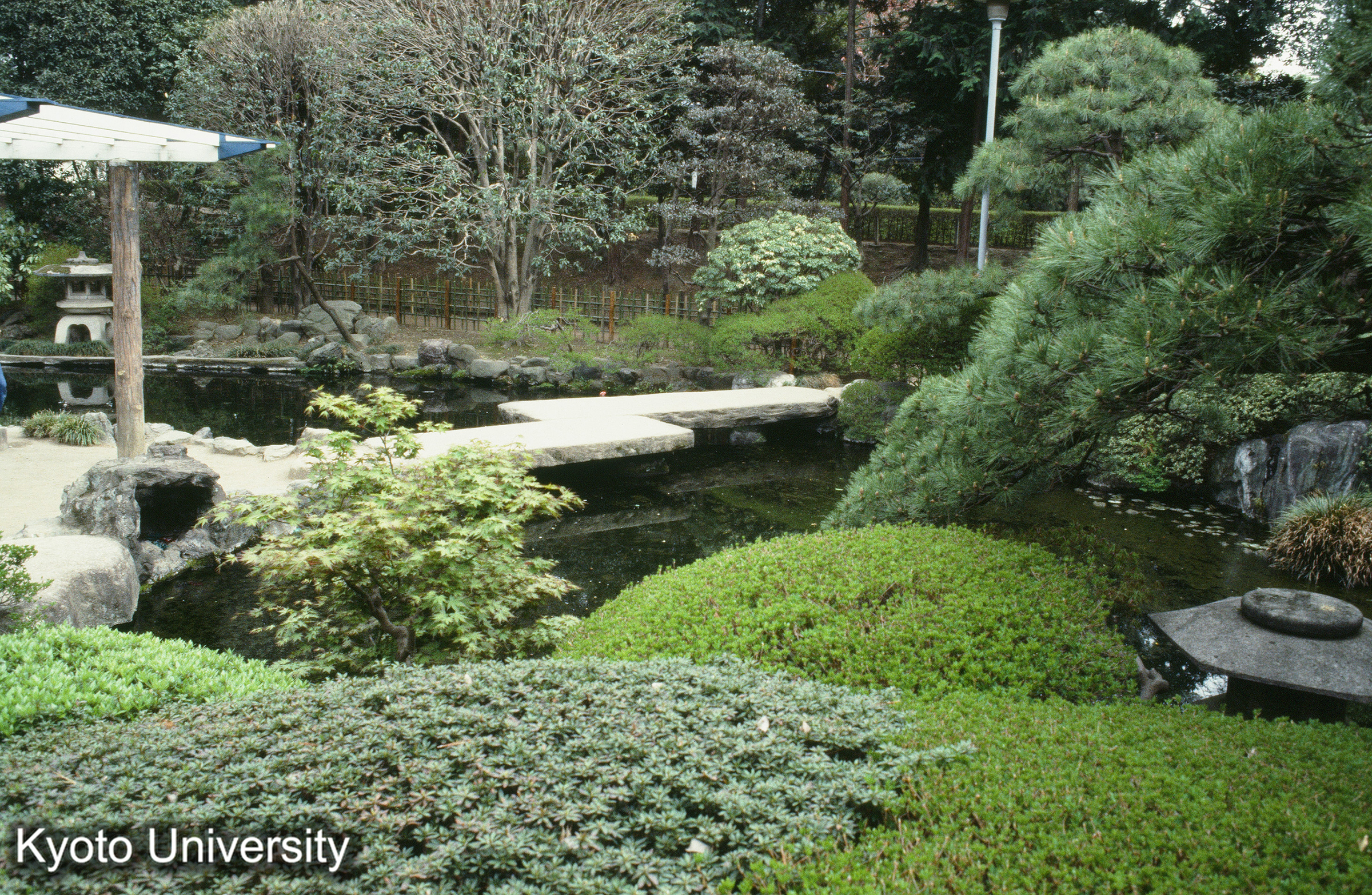 ［スライド］ (1)