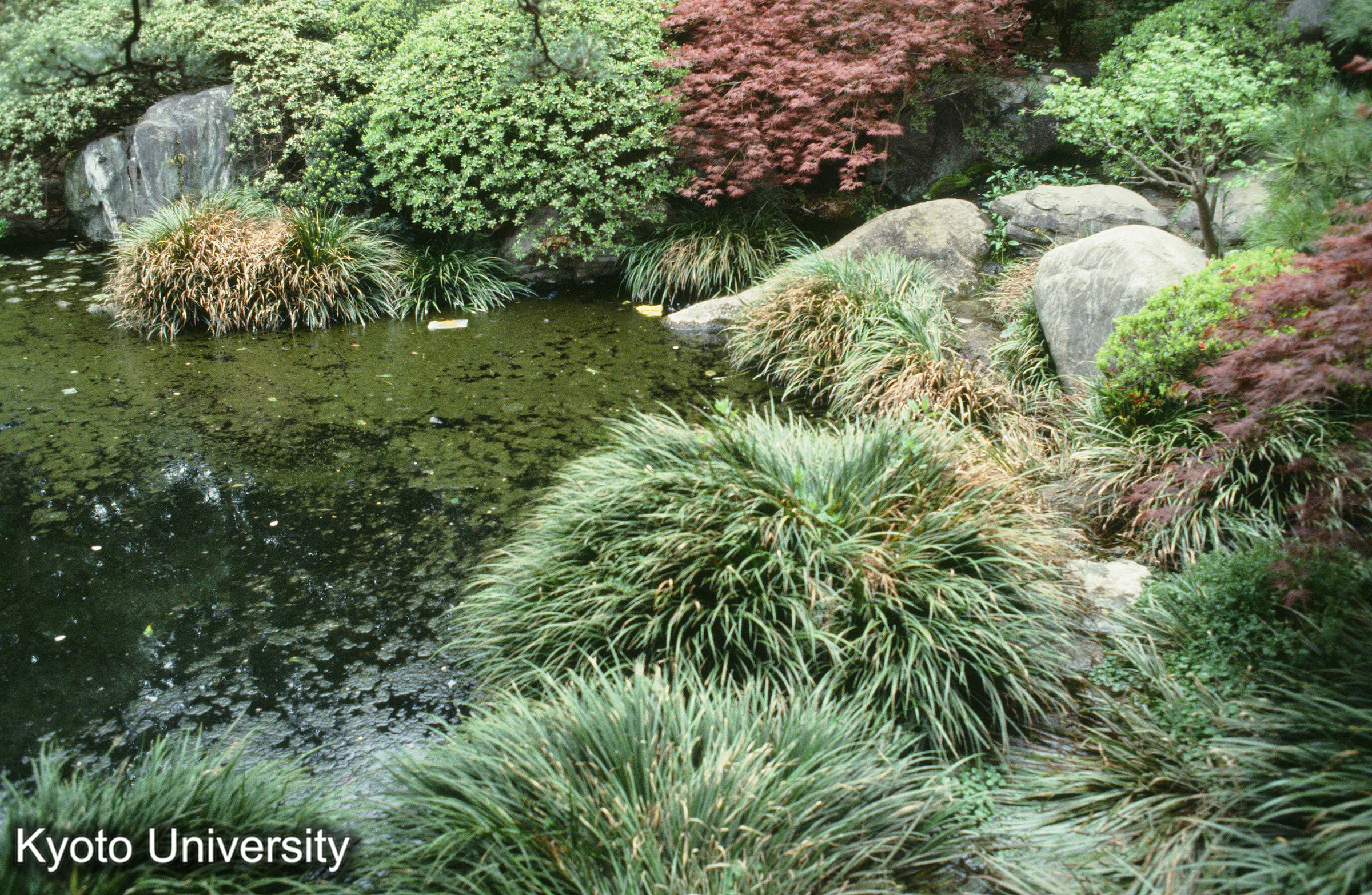 ［スライド］ (1)