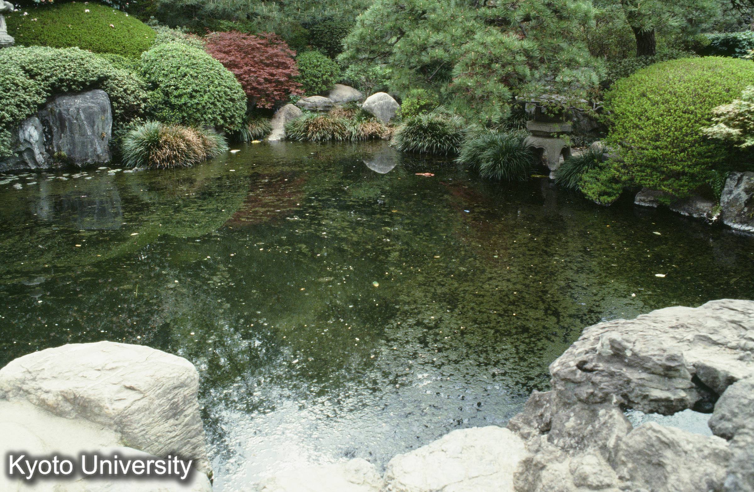 ［スライド］ (1)