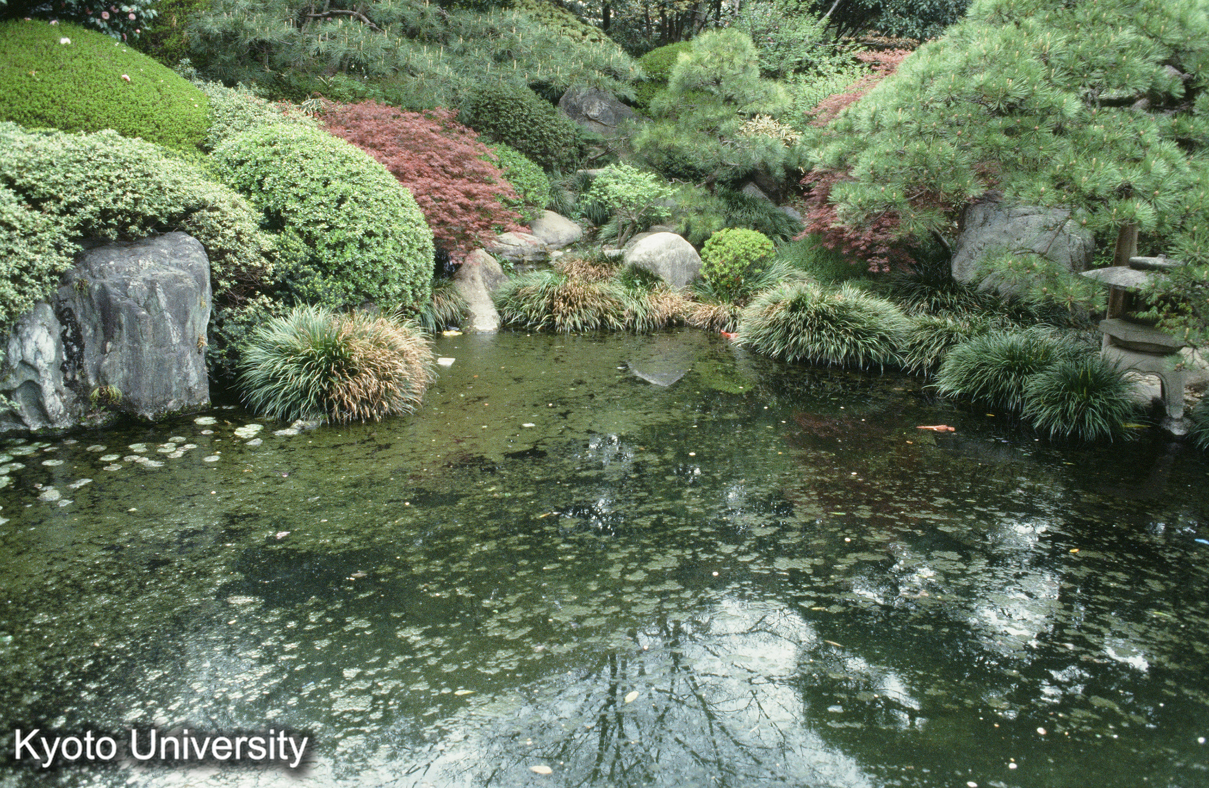 ［スライド］ (1)