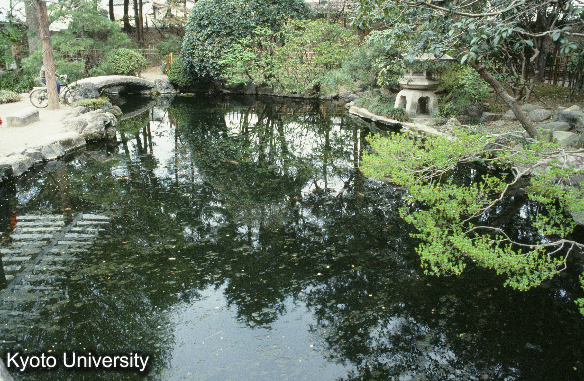 ［スライド］ (1)