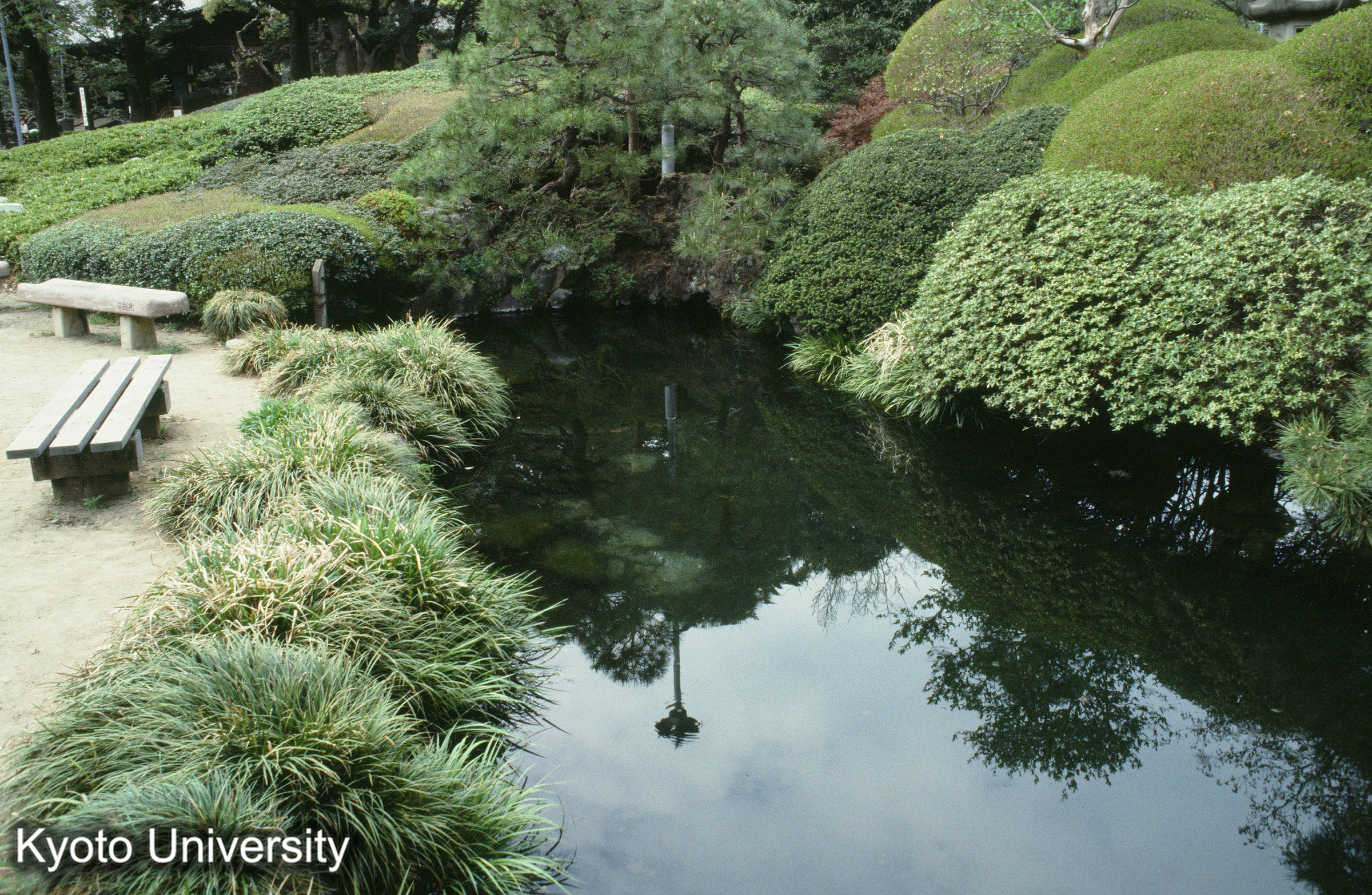 ［スライド］ (1)