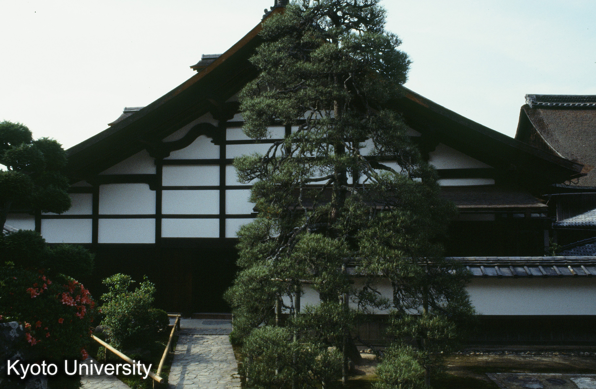 ［スライド］ (1)