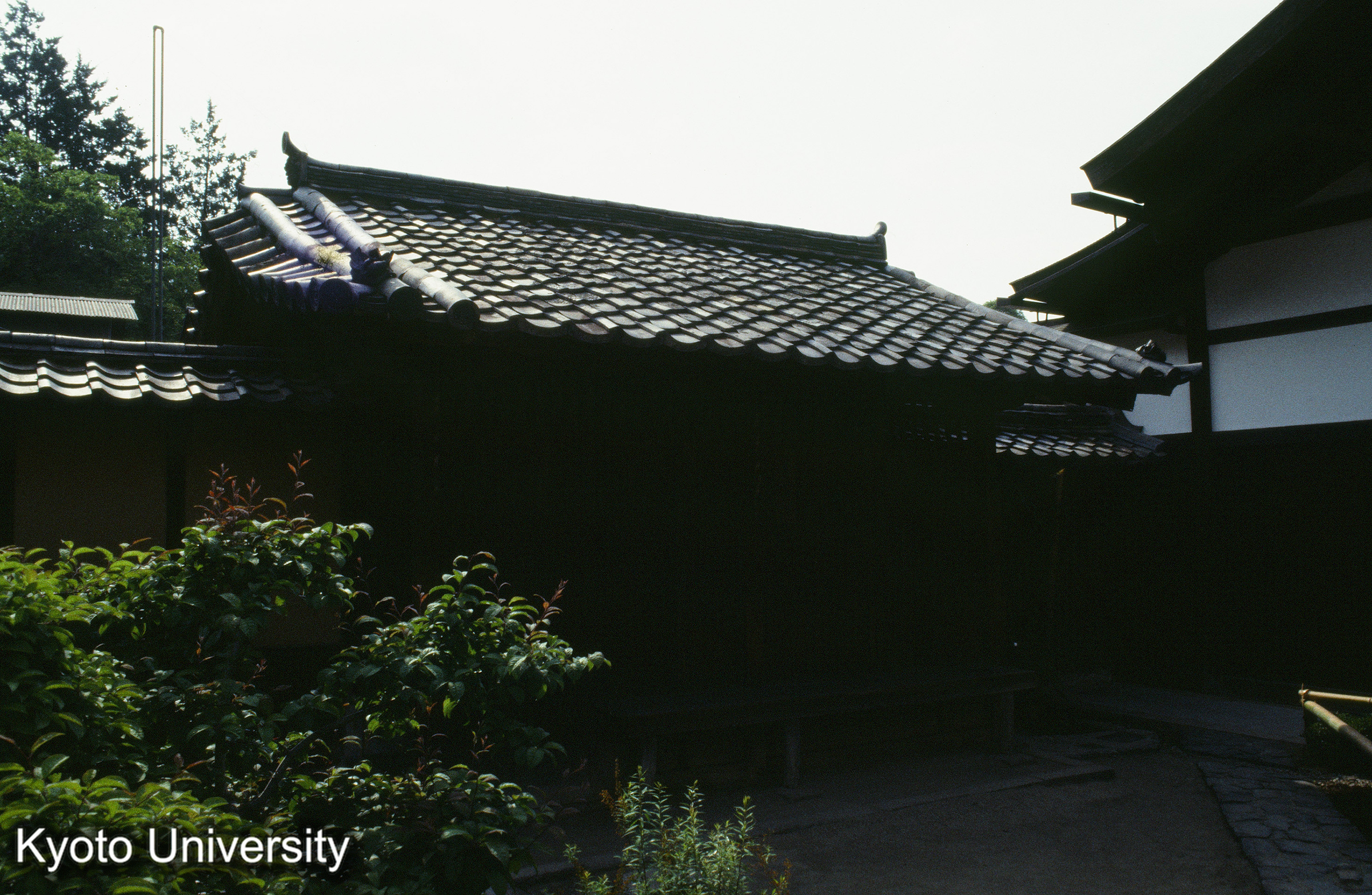 ［スライド］ (1)