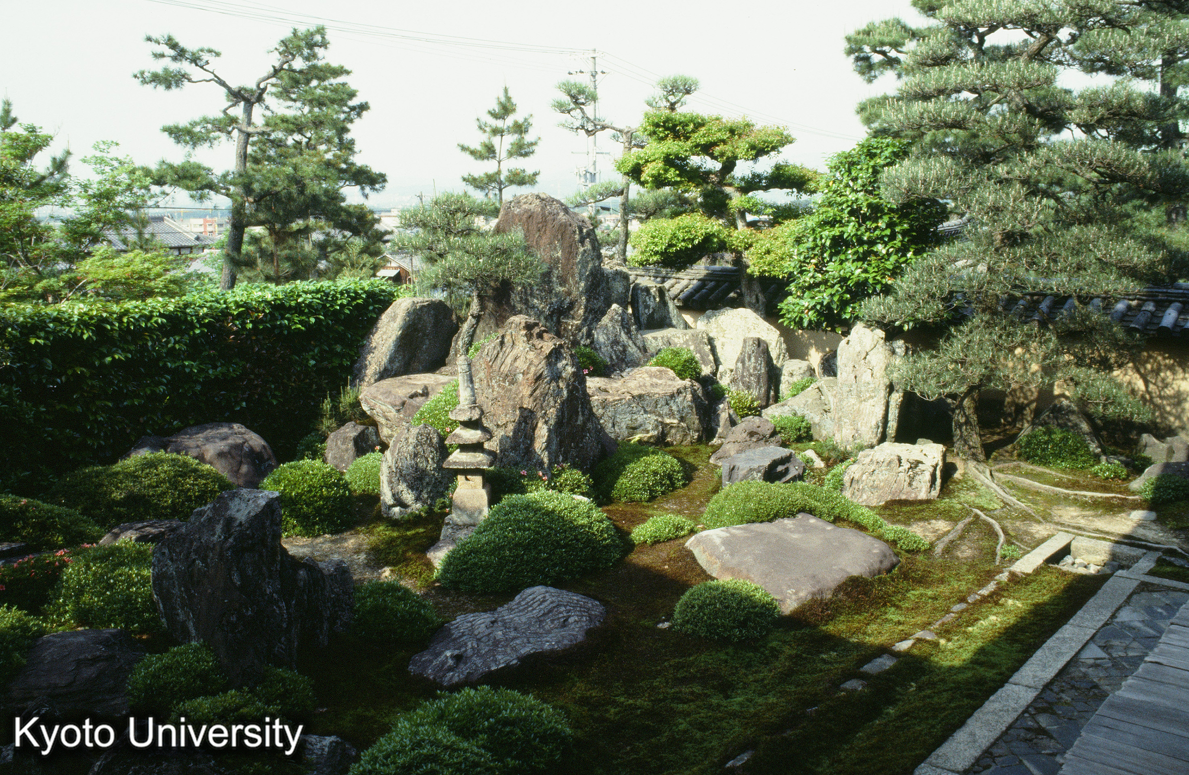 ［スライド］ (1)