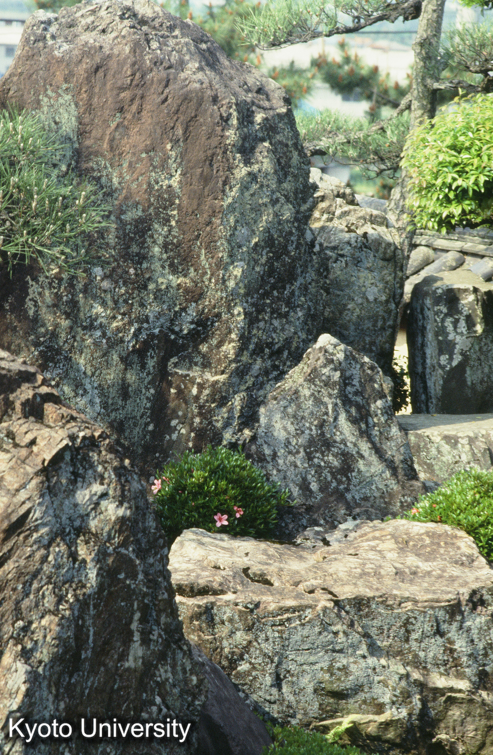 ［スライド］ (1)