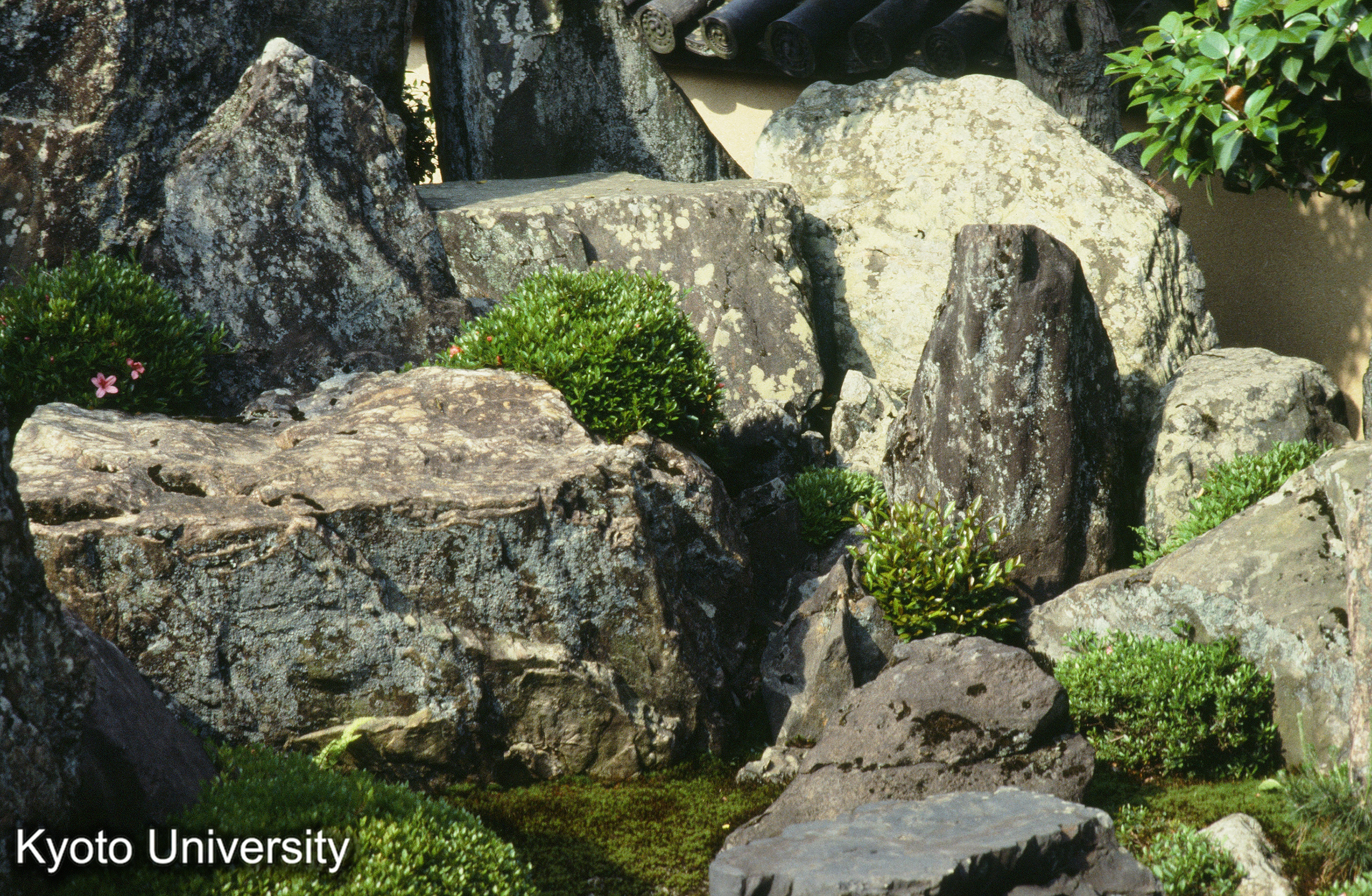 ［スライド］ (1)