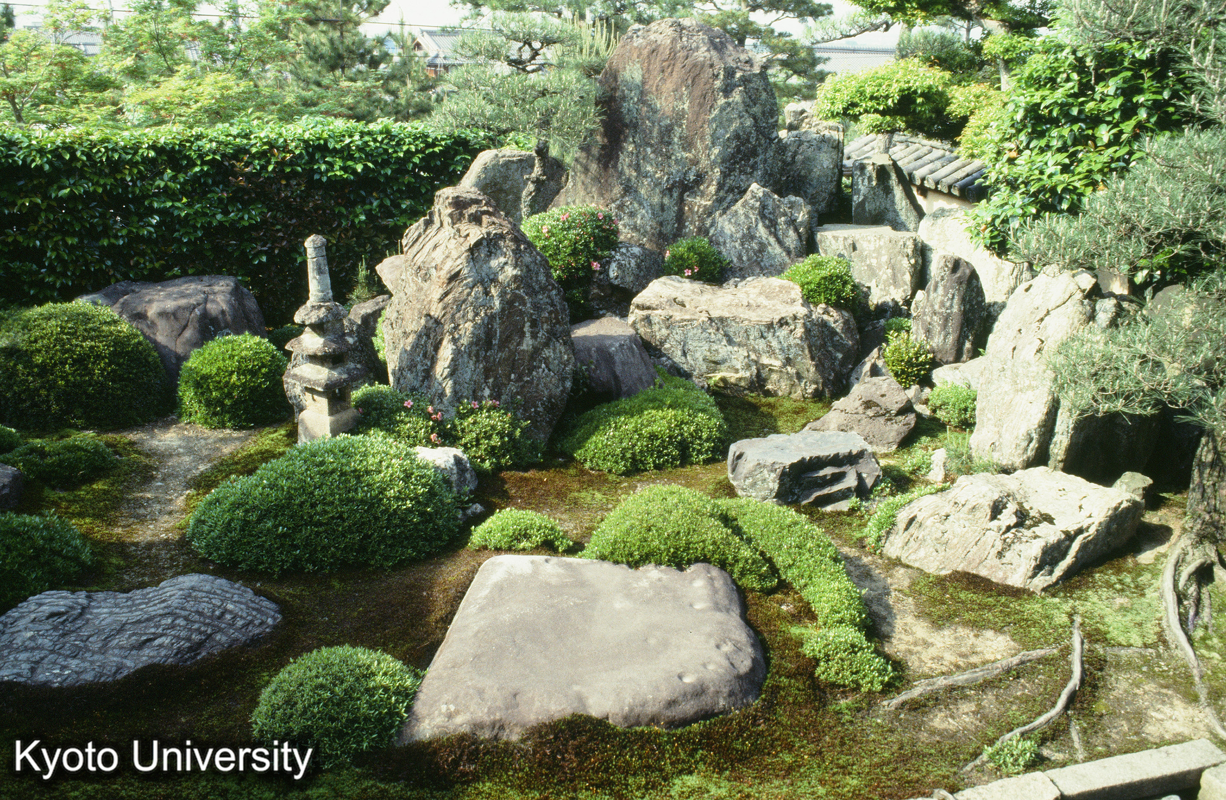 ［スライド］ (1)