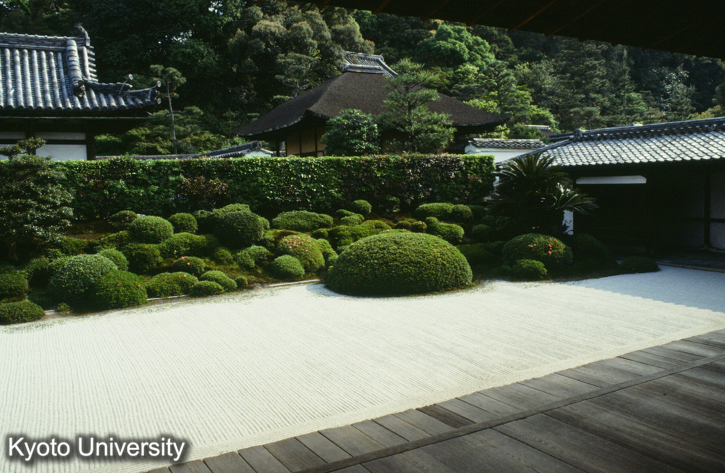 ［スライド］ (1)