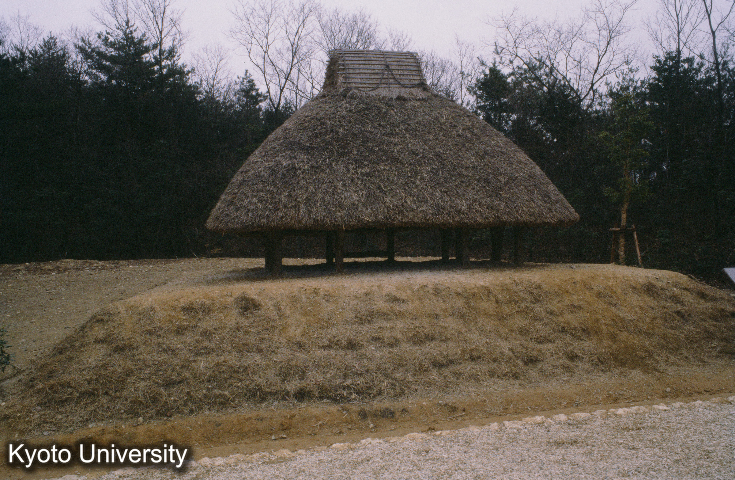 ［スライド］ (1)