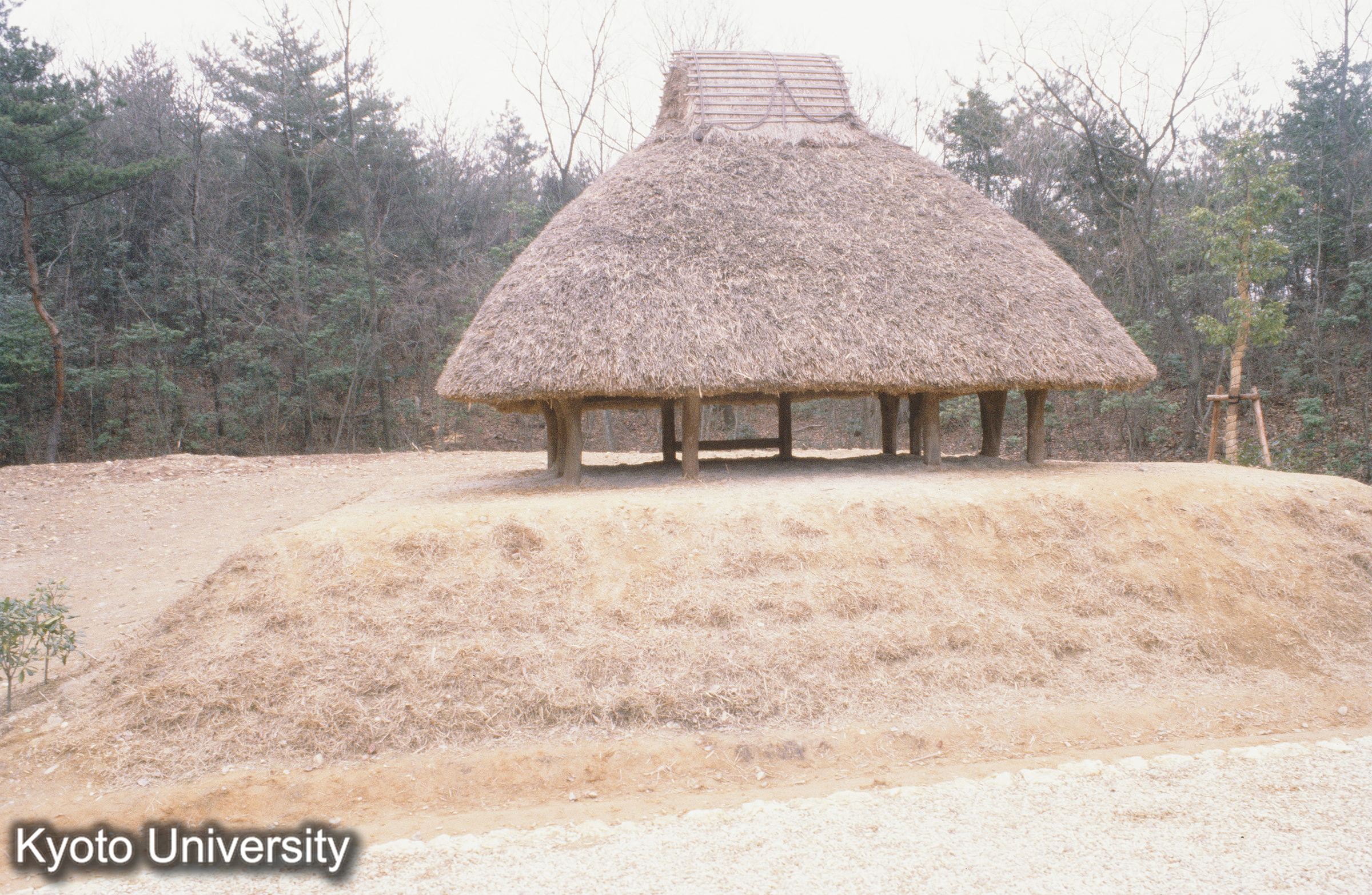 ［スライド］ (1)