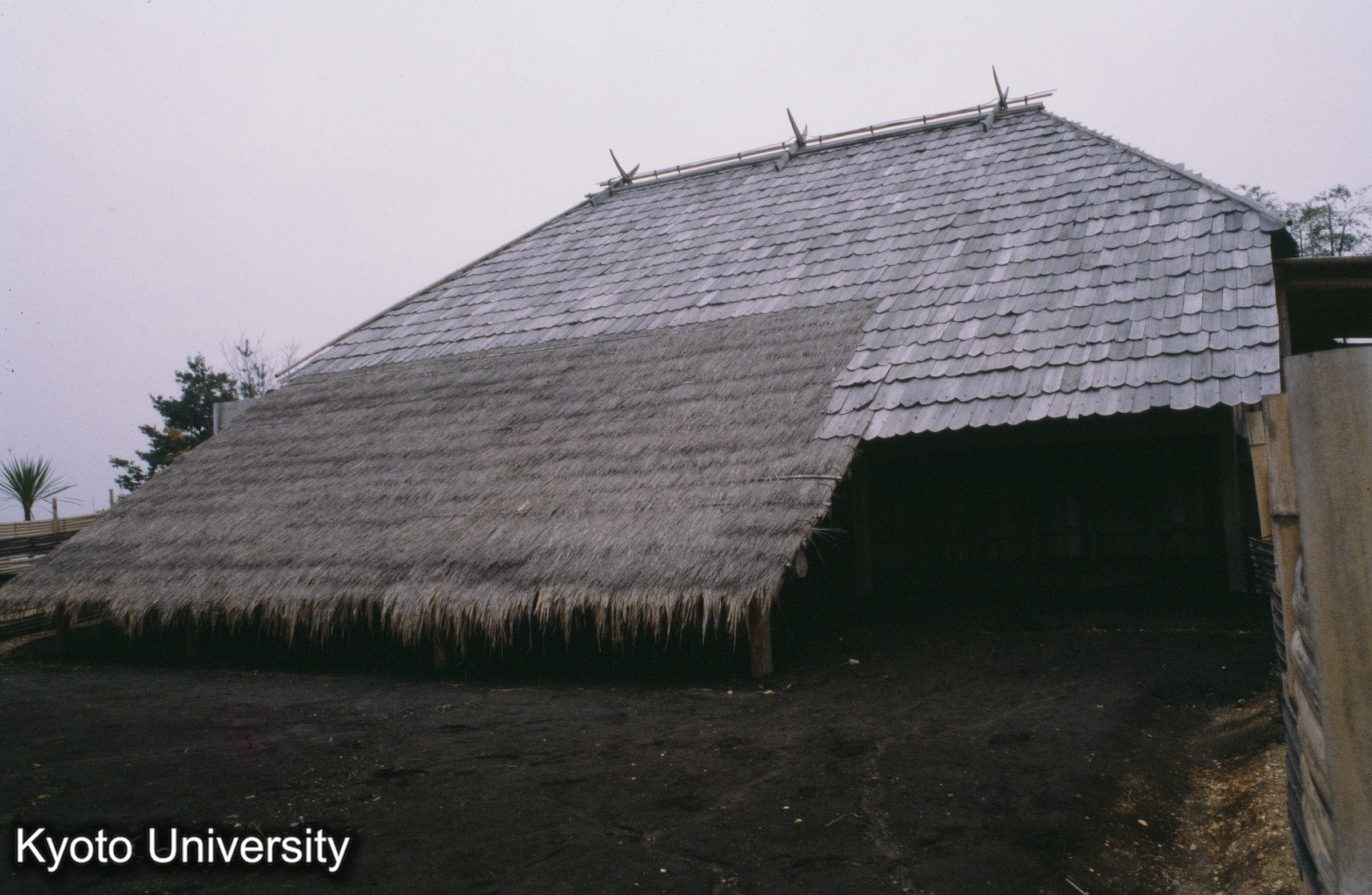 ［スライド］ (1)