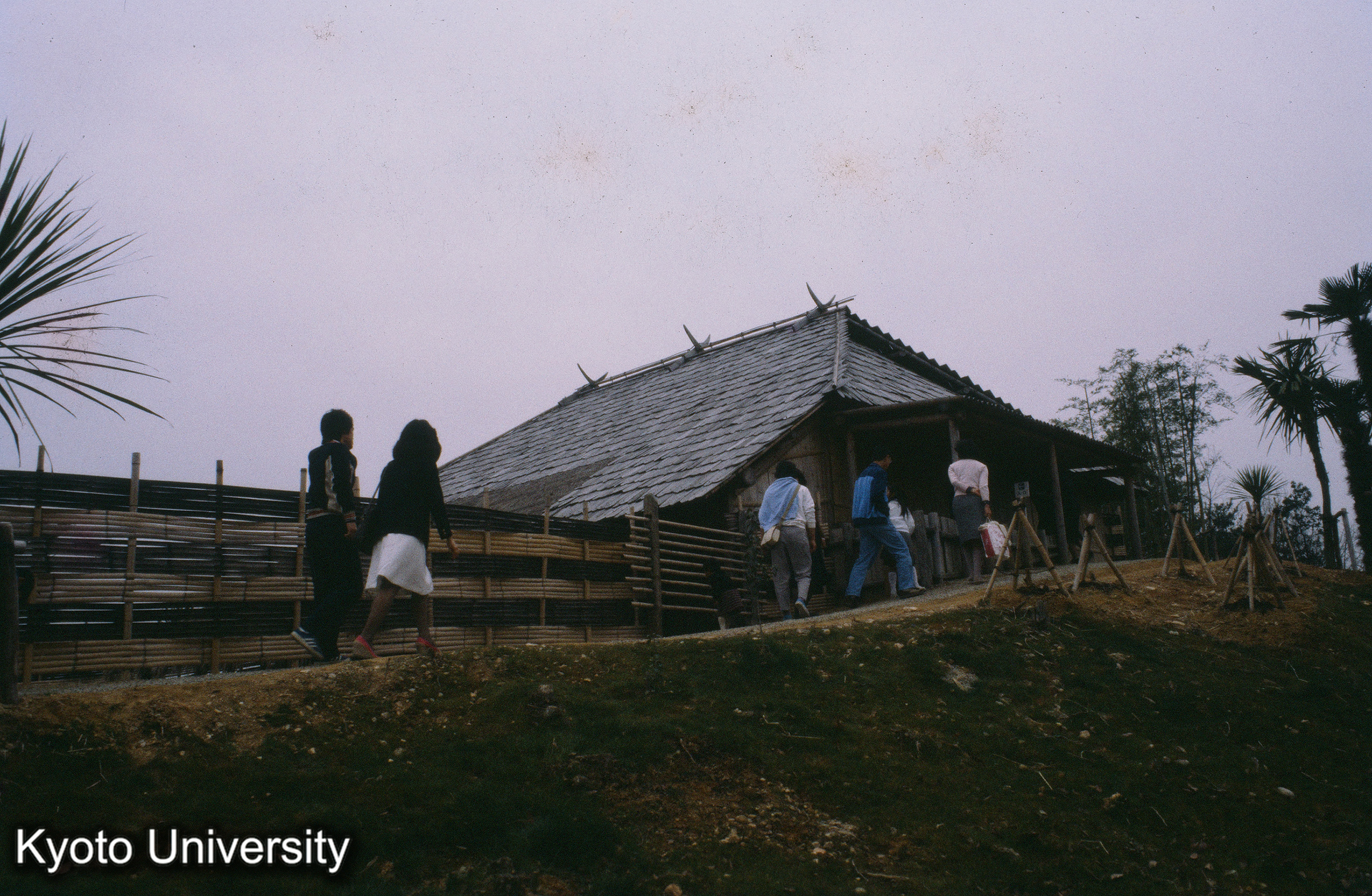 ［スライド］ (1)