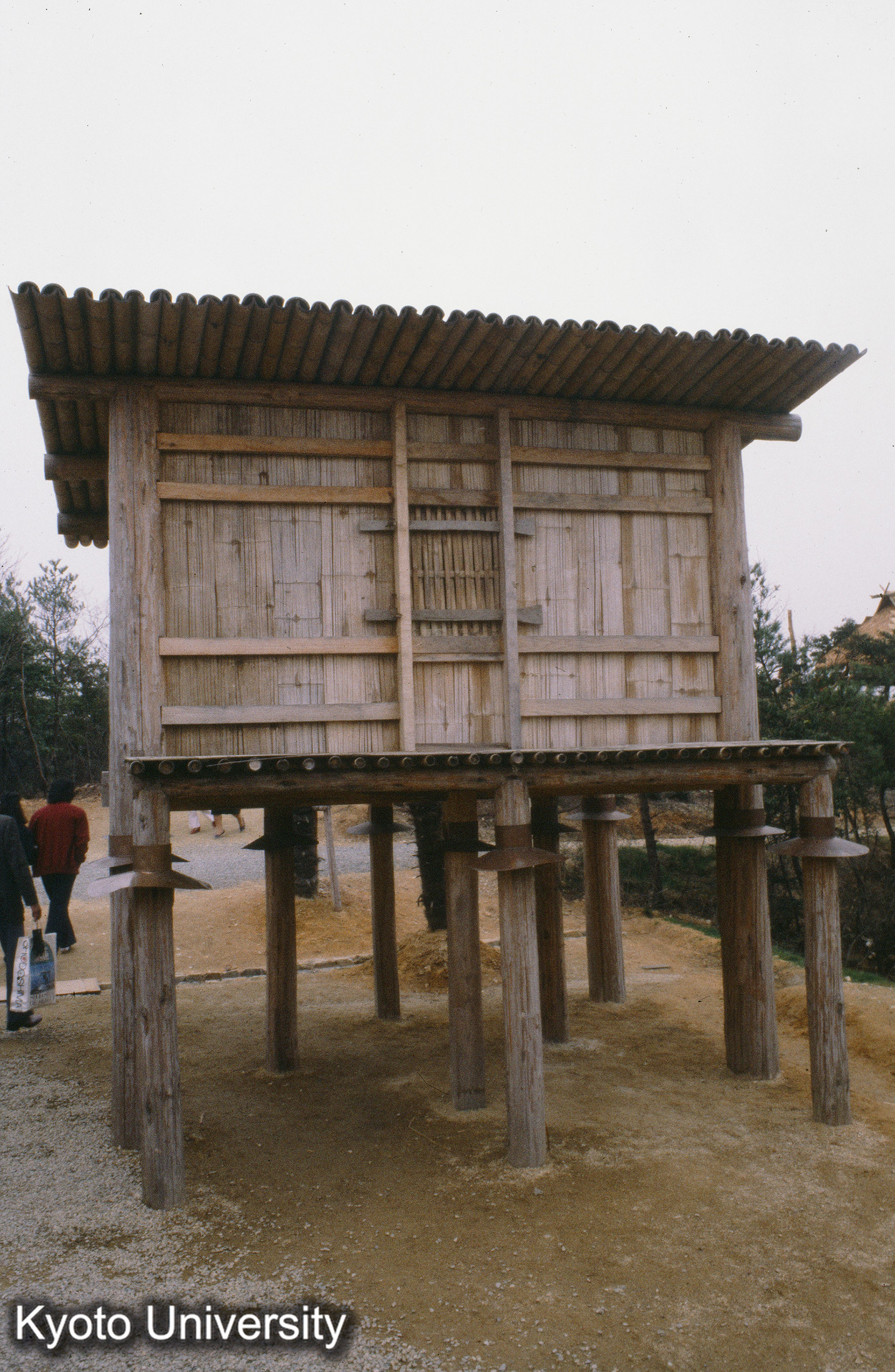 ［スライド］ (1)