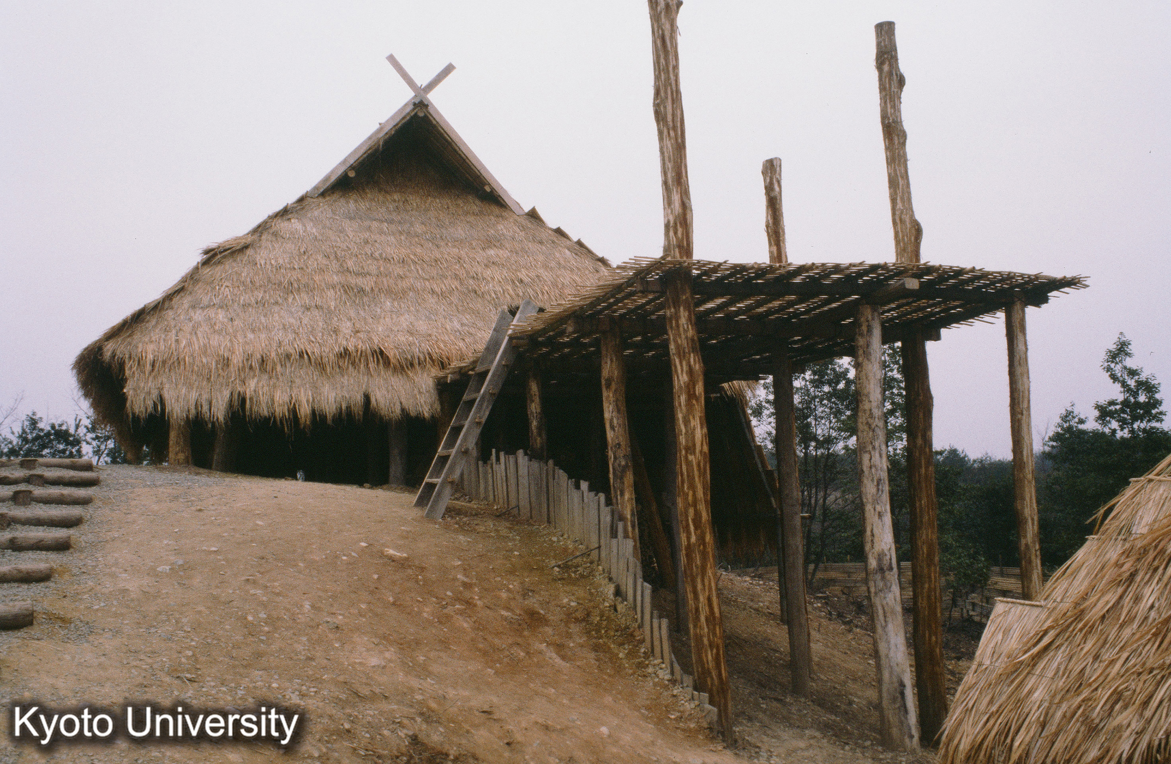 ［スライド］ (1)