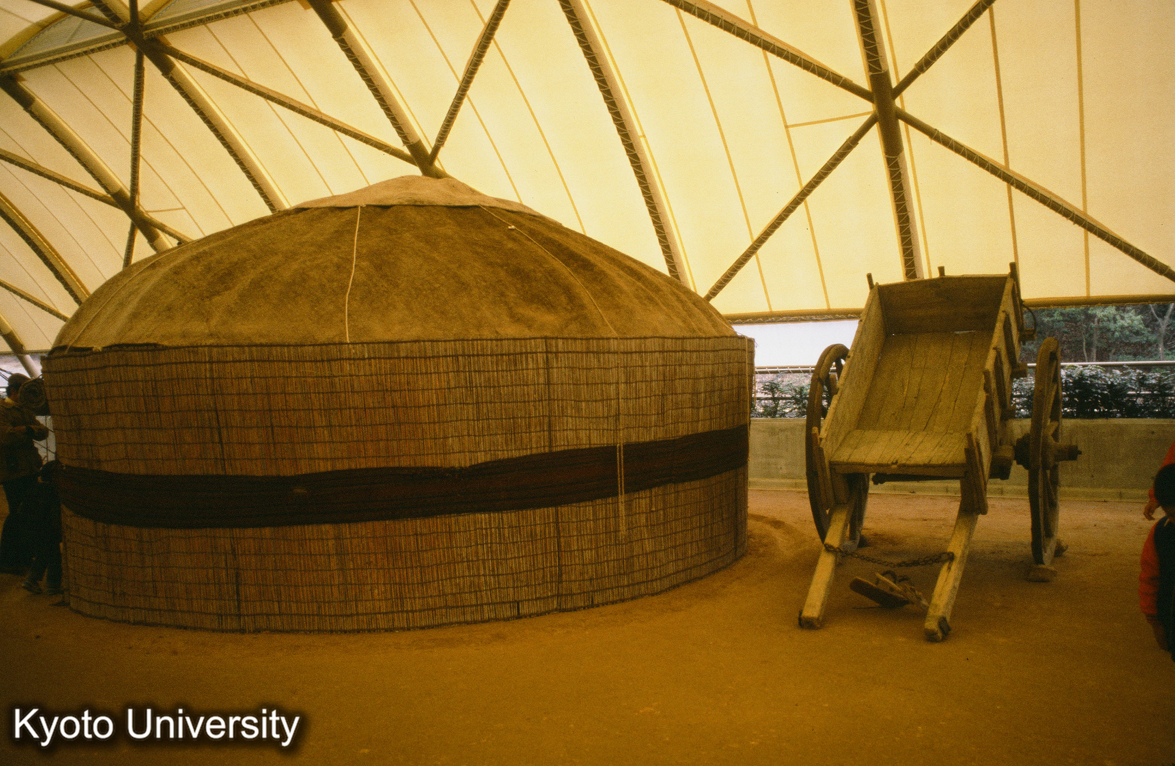 ［スライド］ (1)