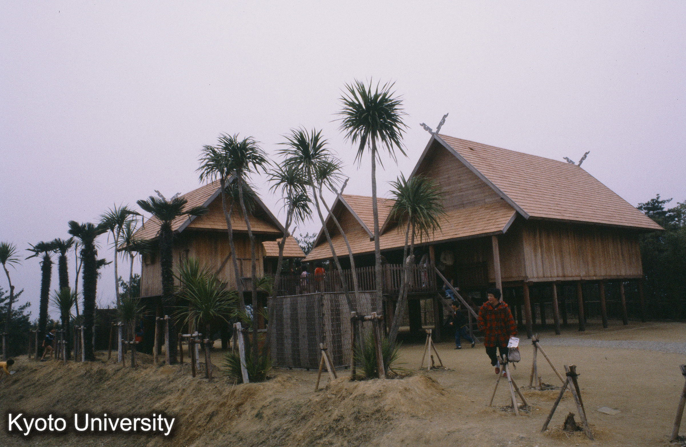 ［スライド］ (1)