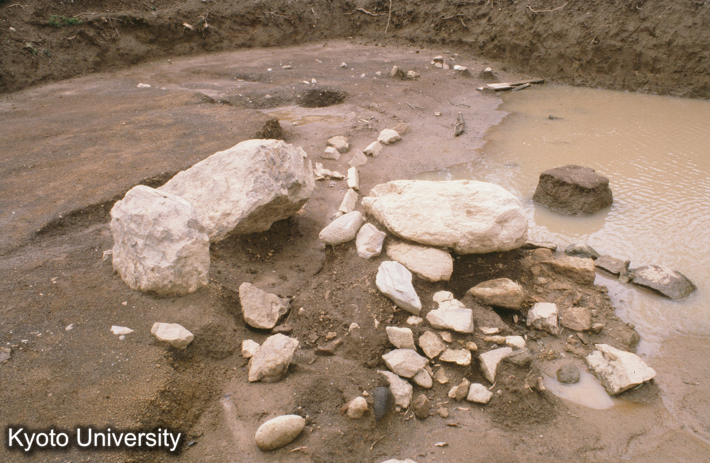 ［スライド］ (1)