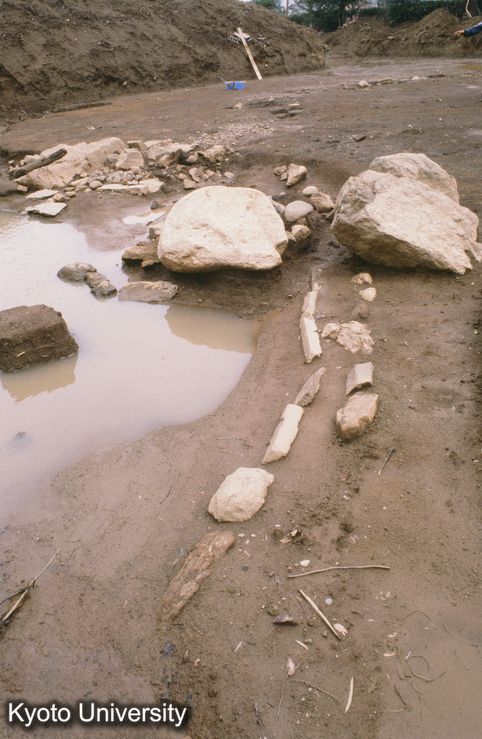 ［スライド］ (1)