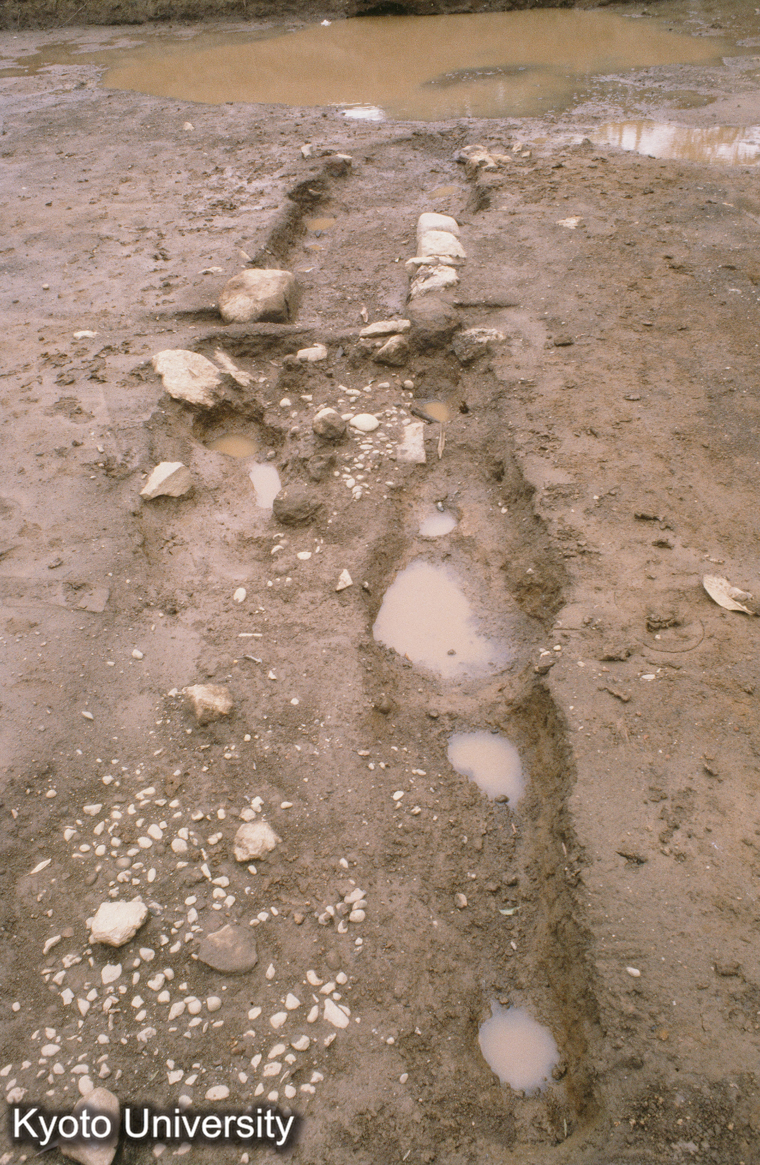 ［スライド］ (1)