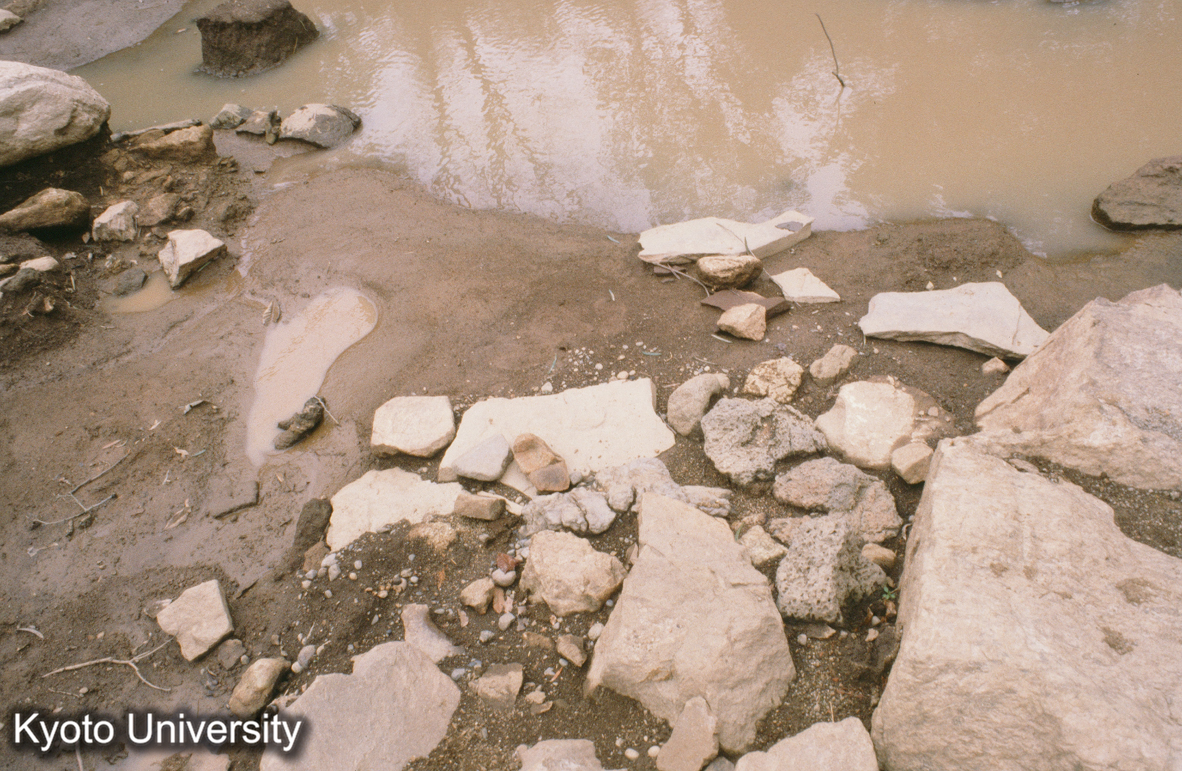 ［スライド］ (1)