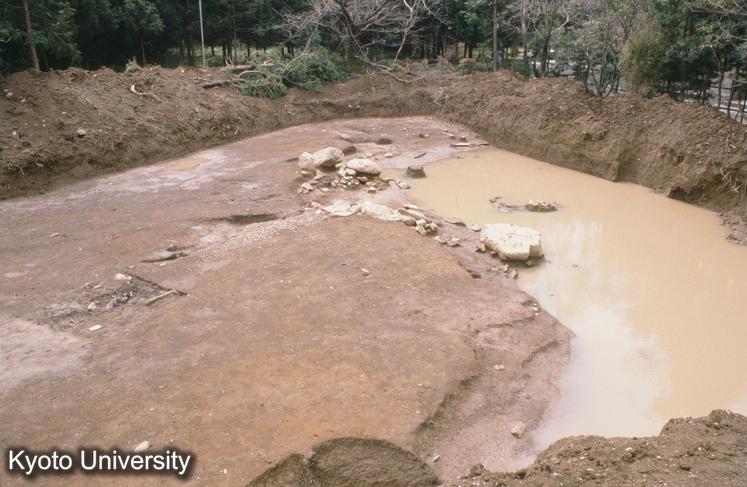 ［スライド］ (1)