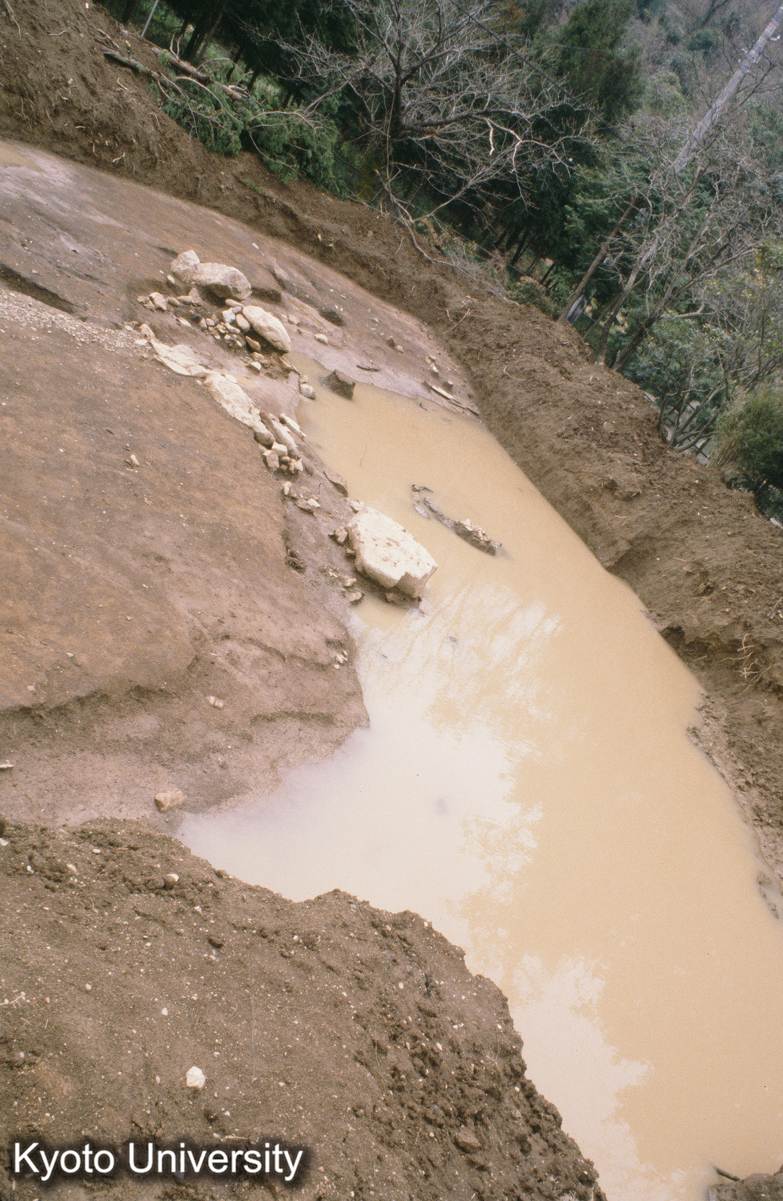 ［スライド］ (1)