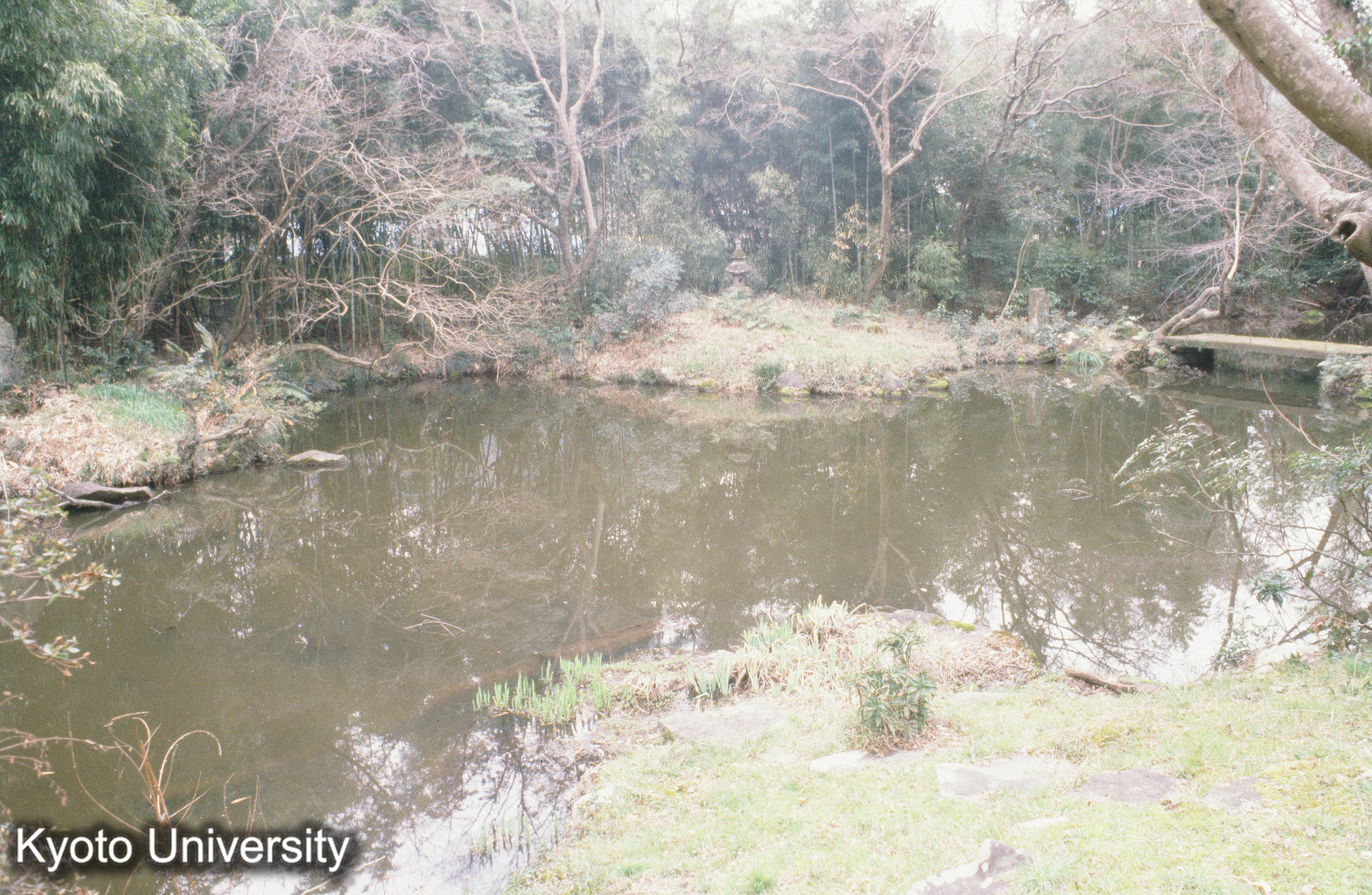 ［スライド］ (1)