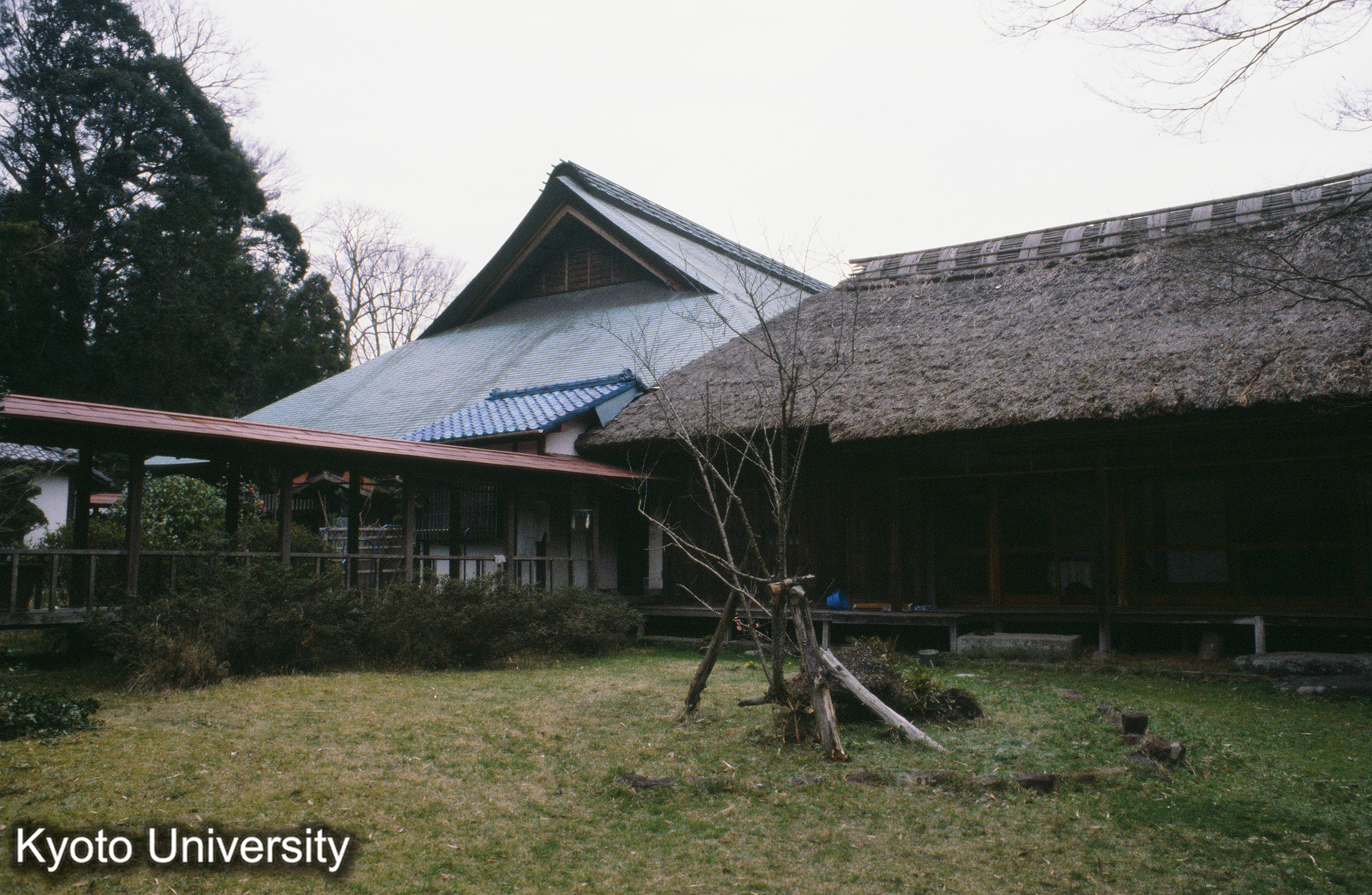 ［スライド］ (1)