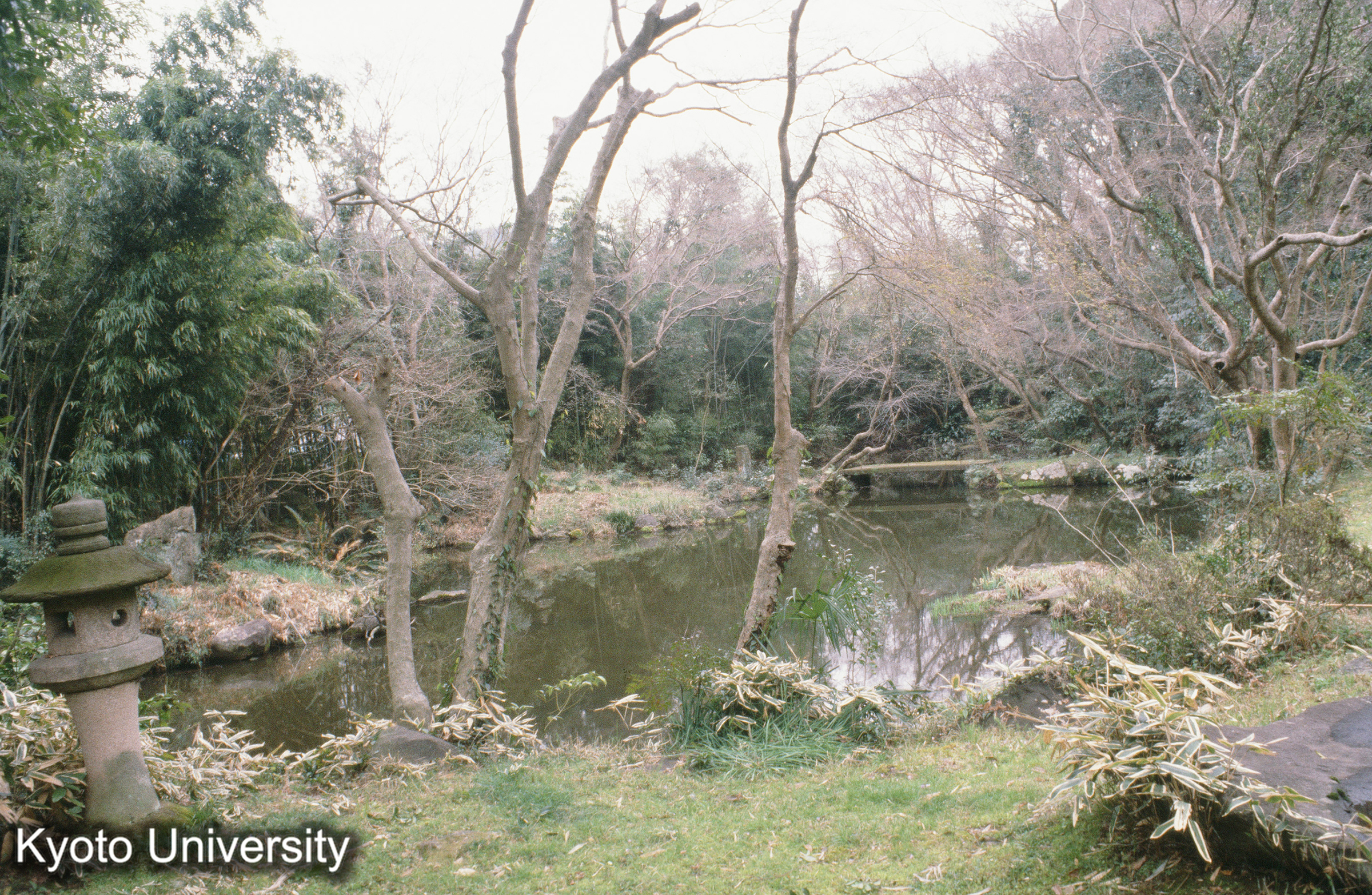 ［スライド］ (1)