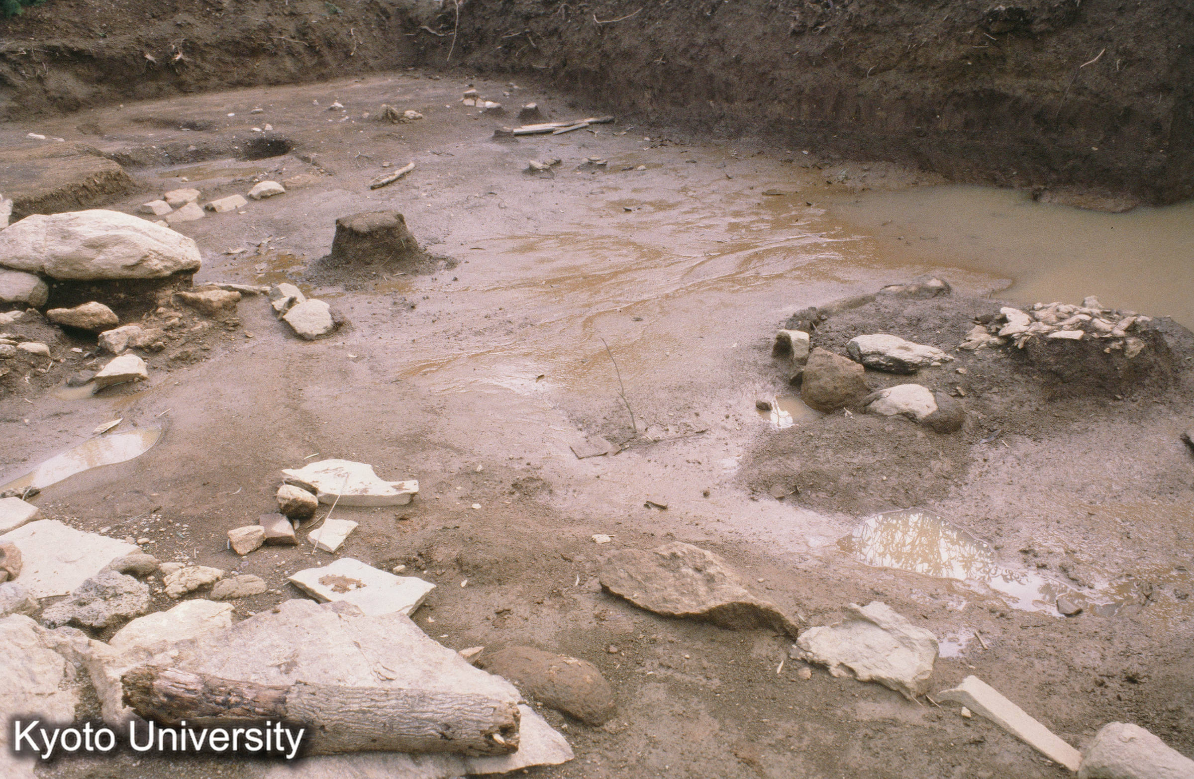 ［スライド］ (1)