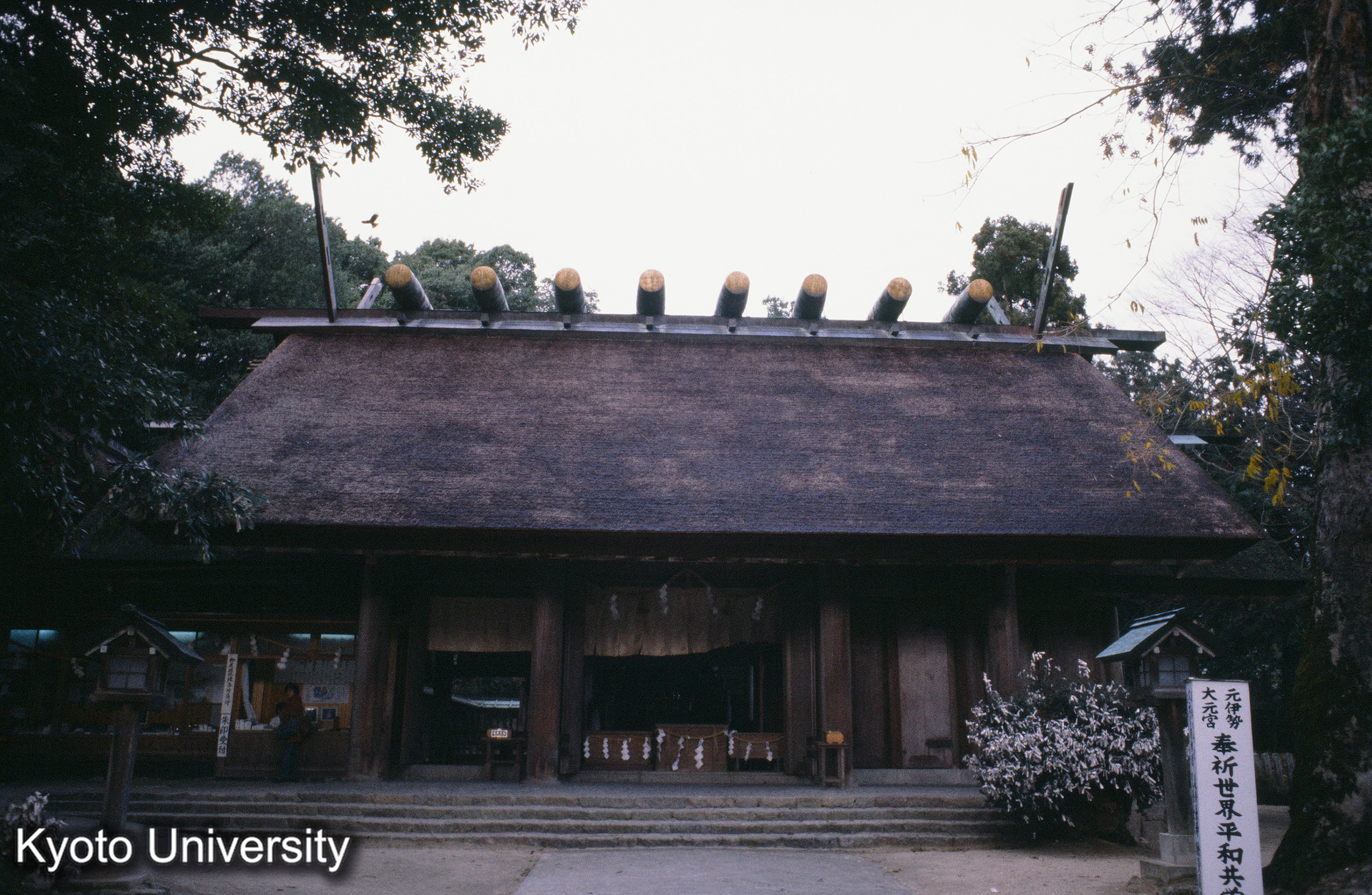 ［スライド］ (1)