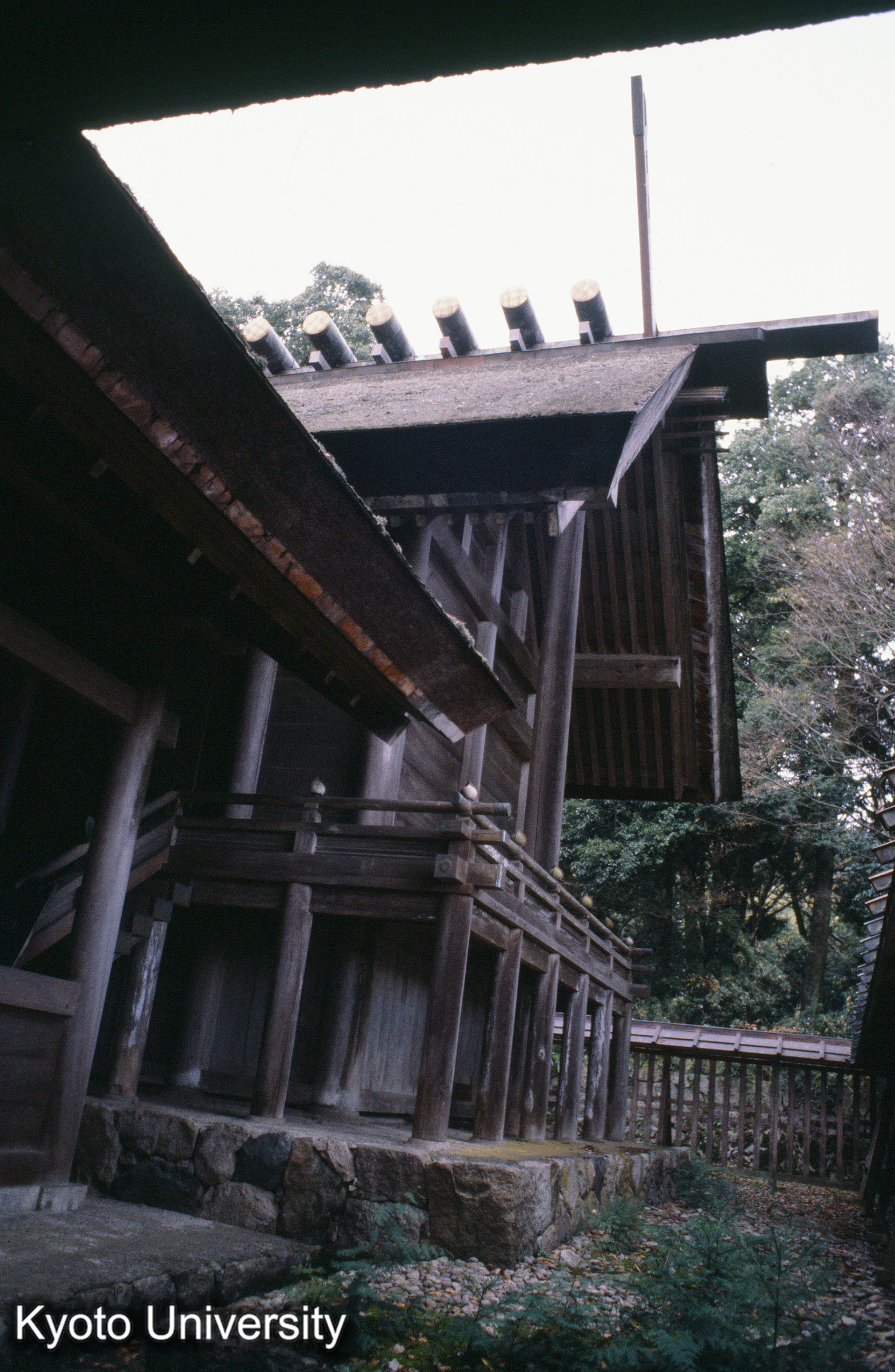 ［スライド］ (1)