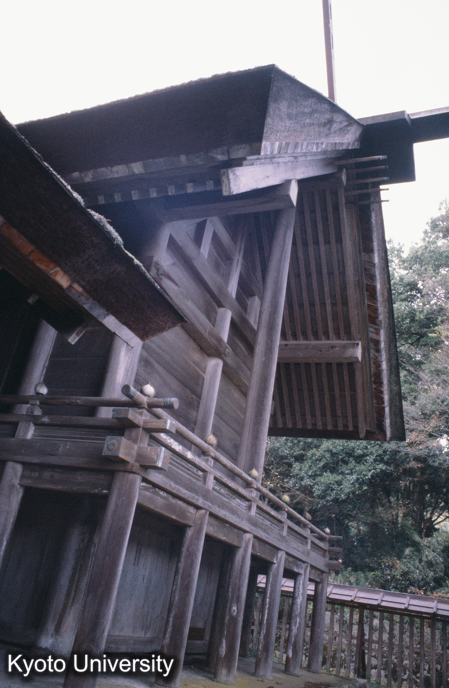 ［スライド］ (1)