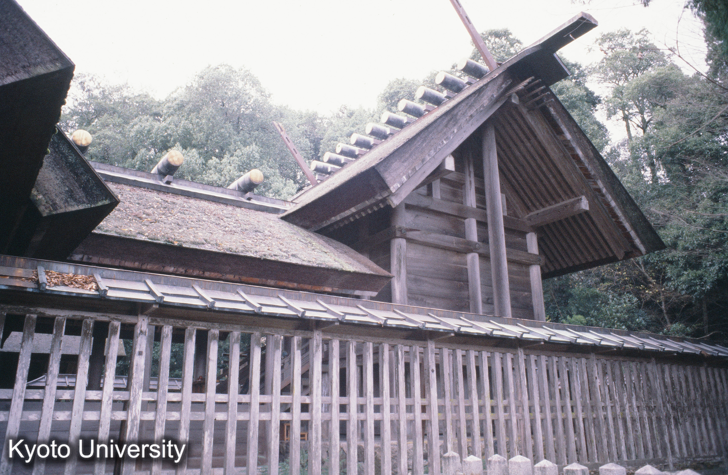 ［スライド］ (1)