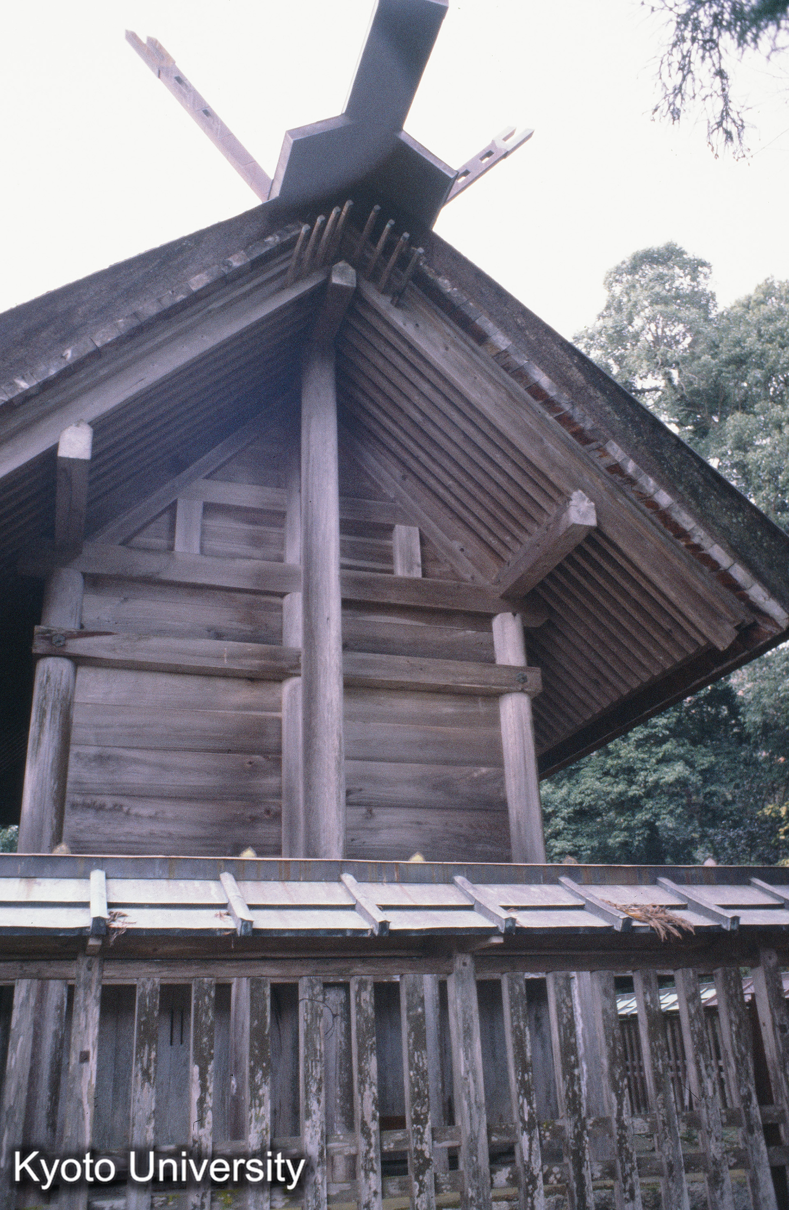 ［スライド］ (1)