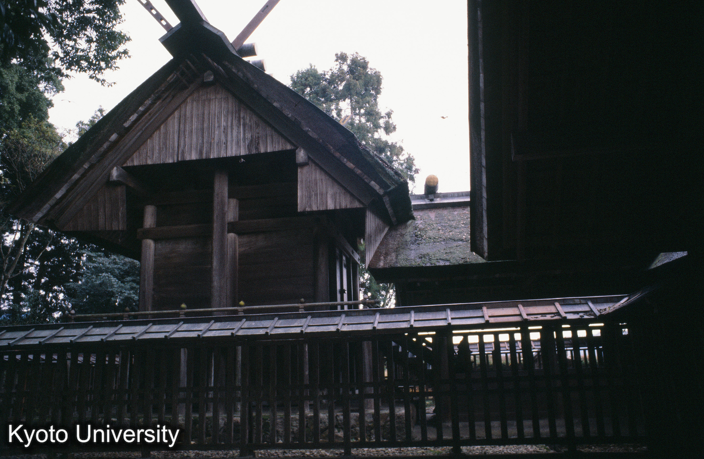 ［スライド］ (1)